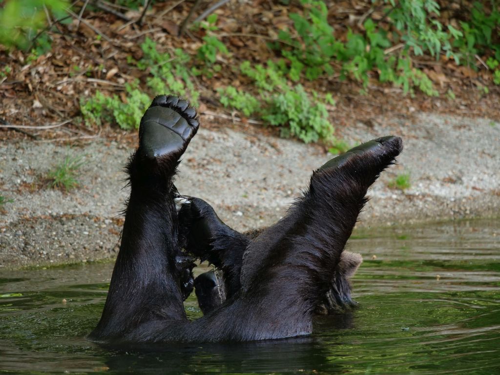 Und hoch das Bein…