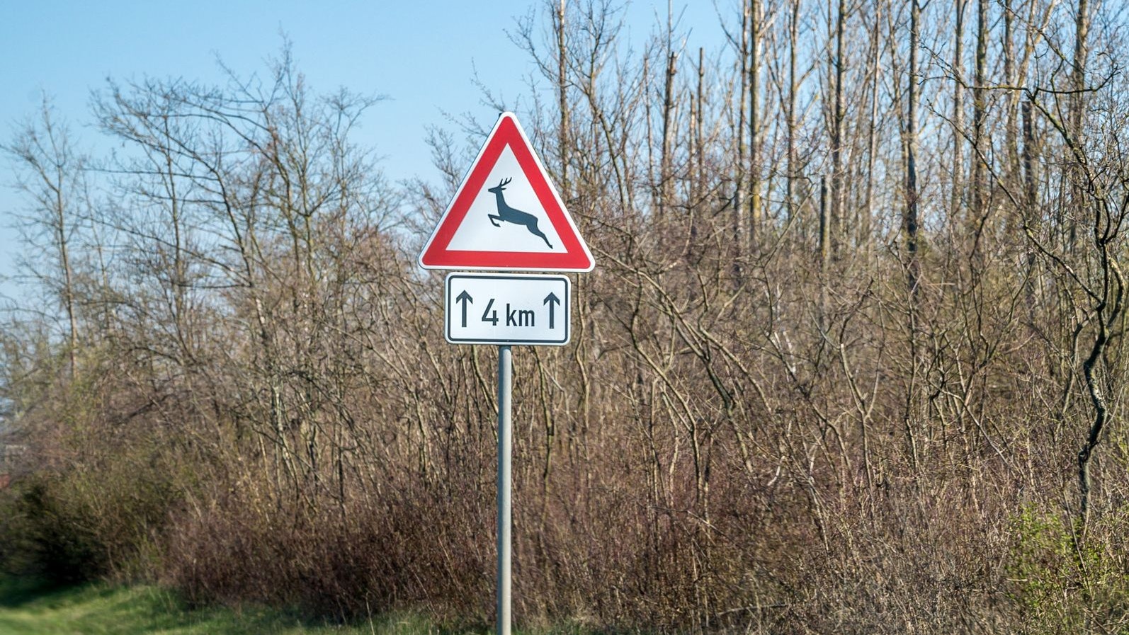 Heute.at - Wildwechsel: Beifahrer nach Crash aus Auto geschleudert
