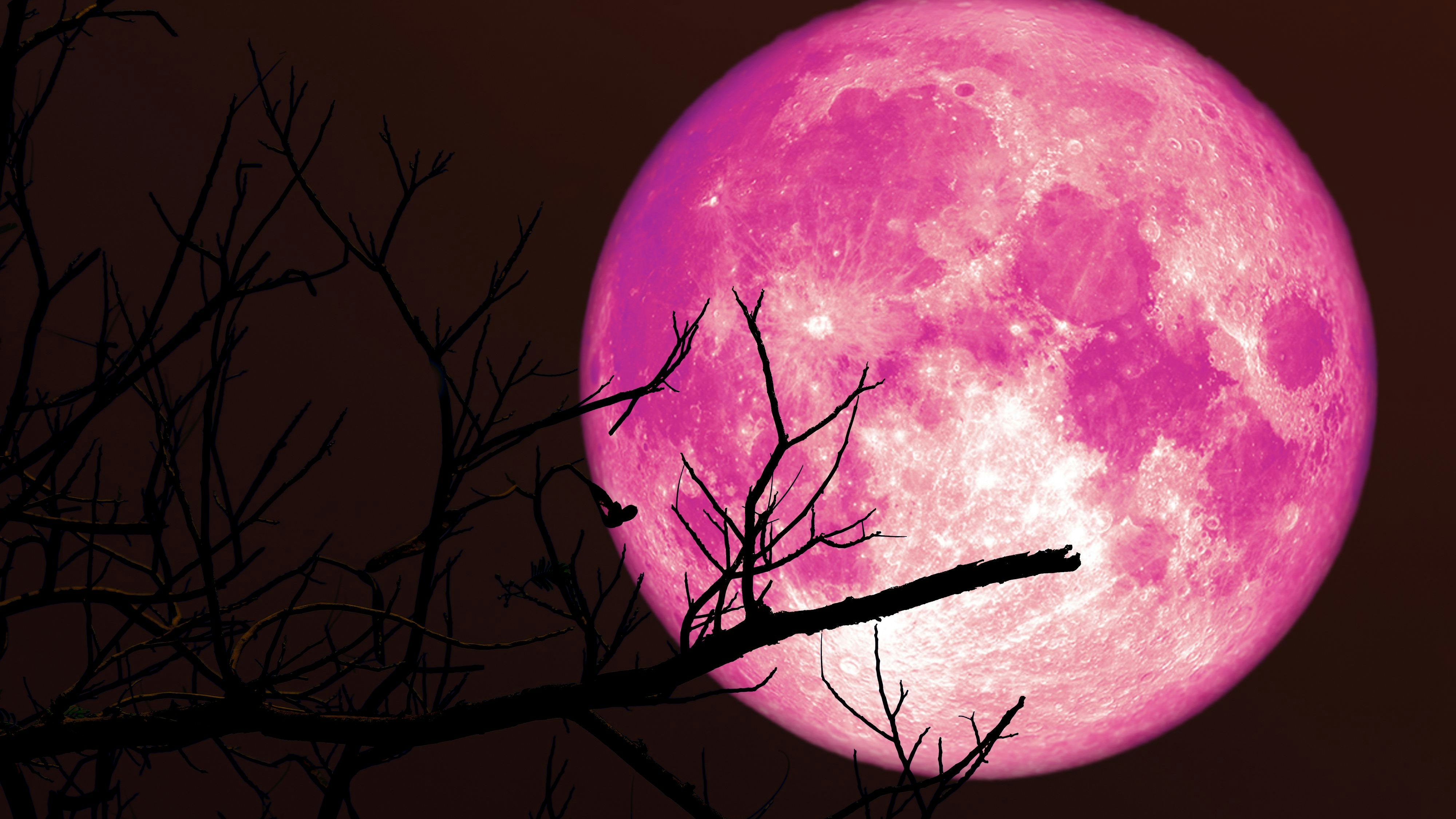 Am 13. April 2025 war der erste Vollmond des Frühlings zu sehen. Er wird auch als "Pink Moon" bezeichnet.