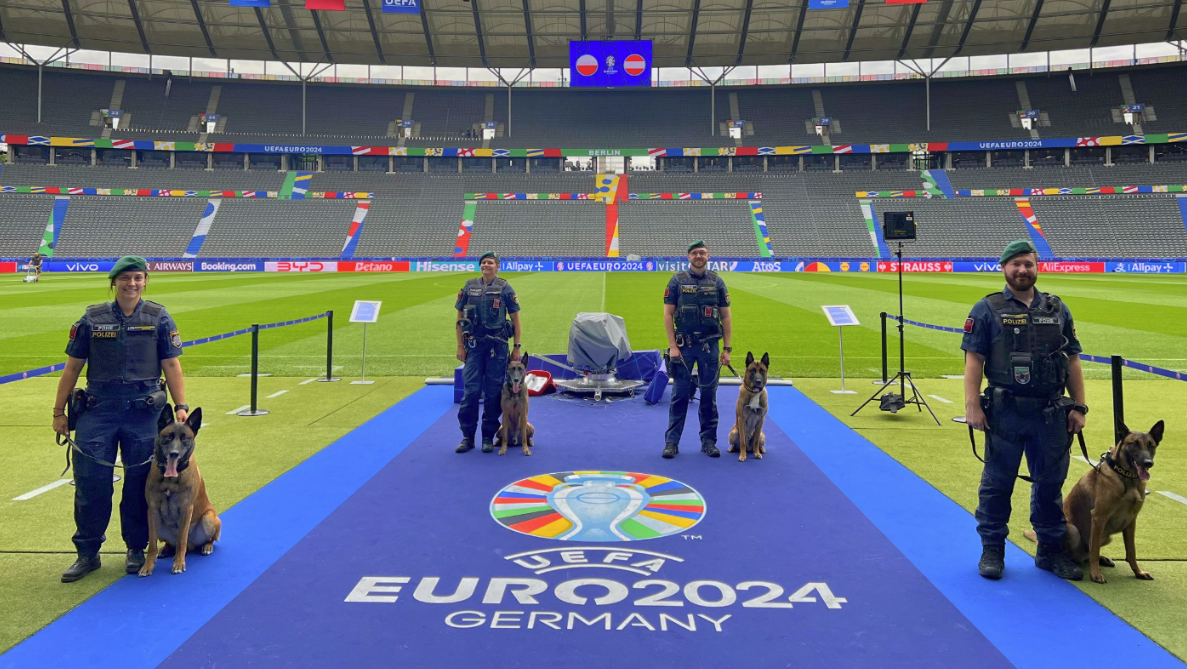 Heute.at - Wiener Polizeihunde beschützen ÖFB-Team in Berlin