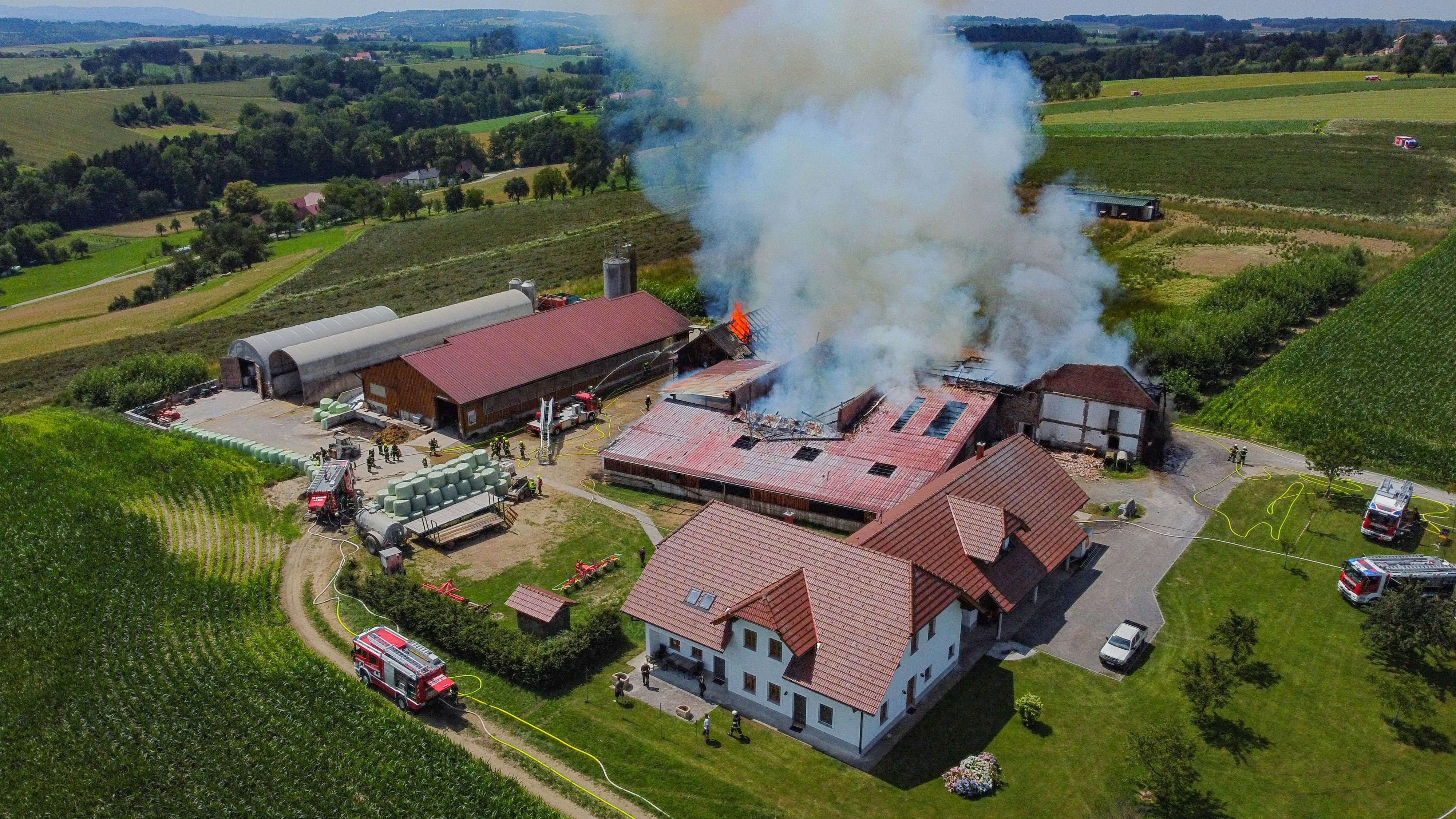 Heute.at - Gewaltige Rauchsäulen – 16 Feuerwehren bekämpfen Brand