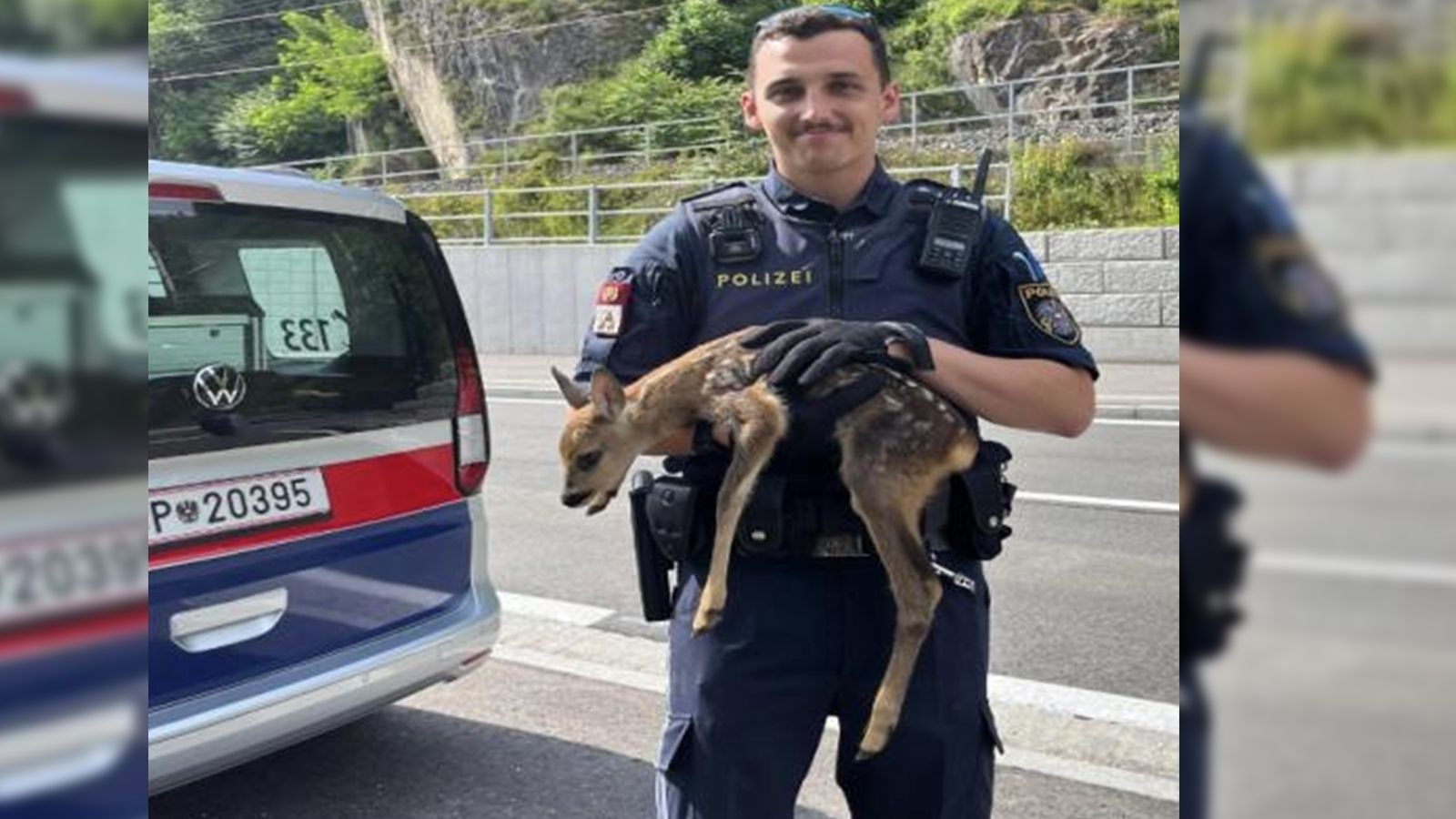 Heute.at - Bambi verirrt sich auf Grundstück am Wörthersee