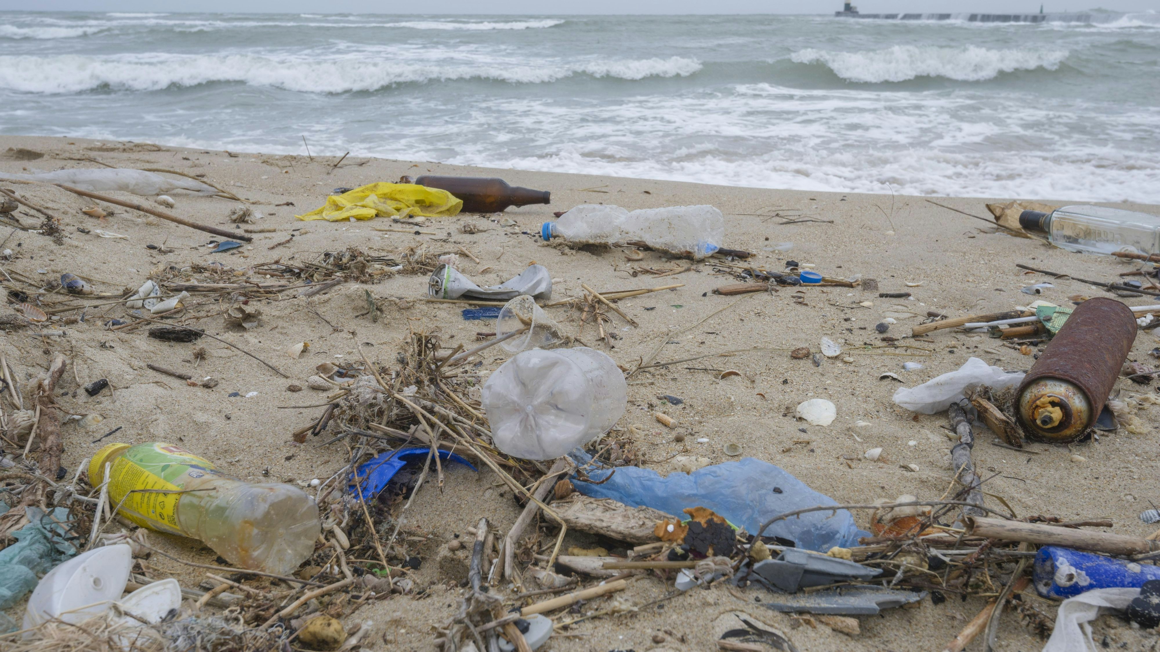 Massive Umweltverschmutzung gefährdet die Vielfalt an Tieren und Pflanzen