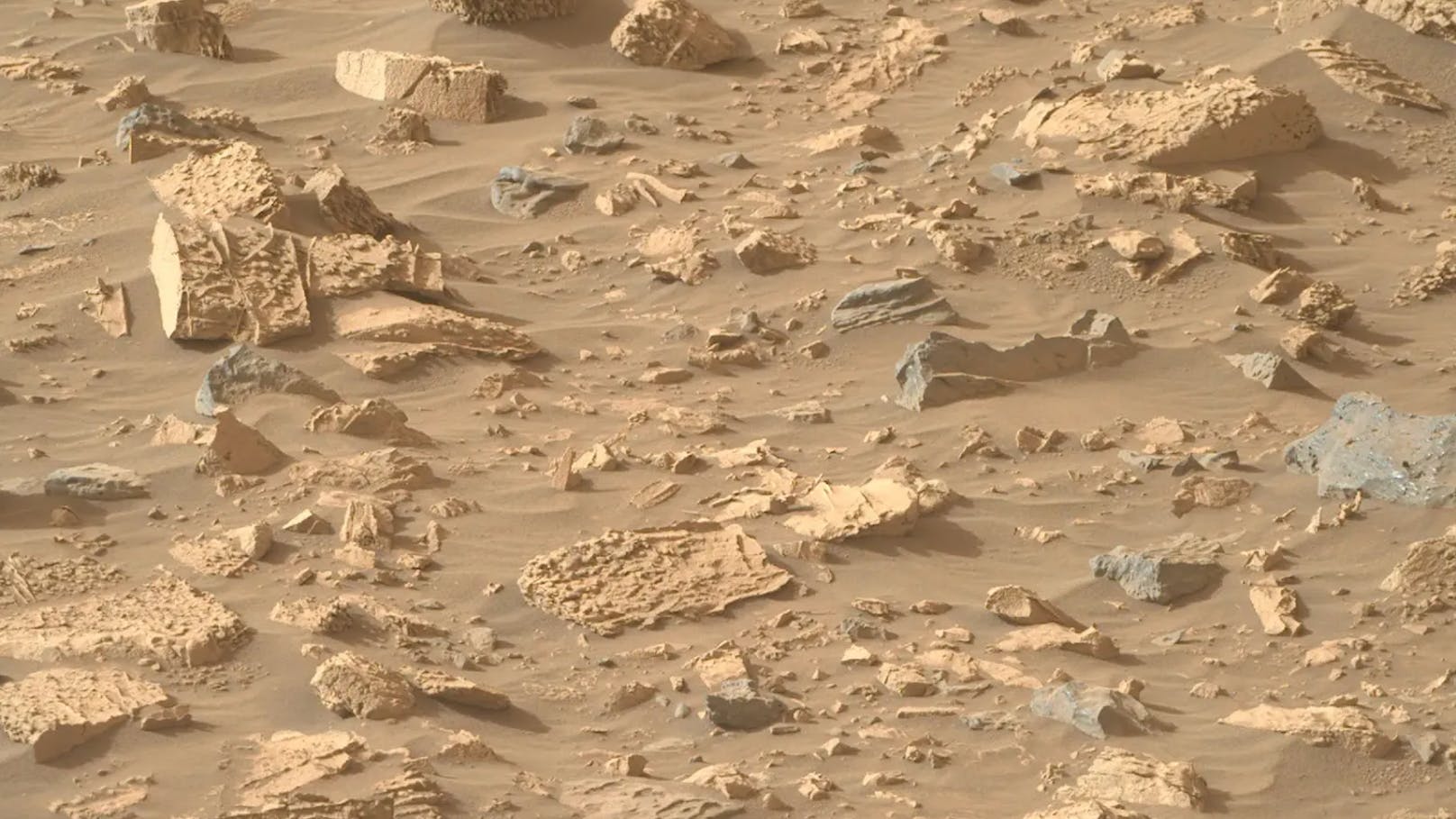 Der Nasa-Rover "Perseverance" hat auf dem Mars ungewöhnliche Steine gefunden, deren Textur an Popcorn erinnert.