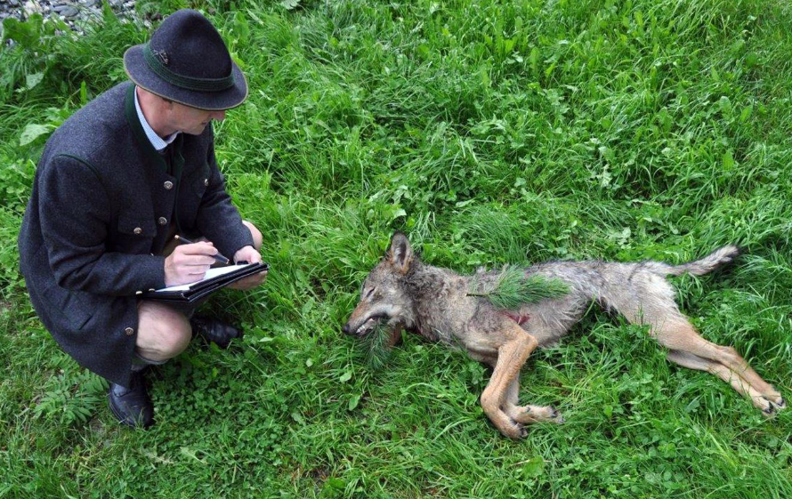 Nicht nur Experten zweifeln an den Angaben zum 