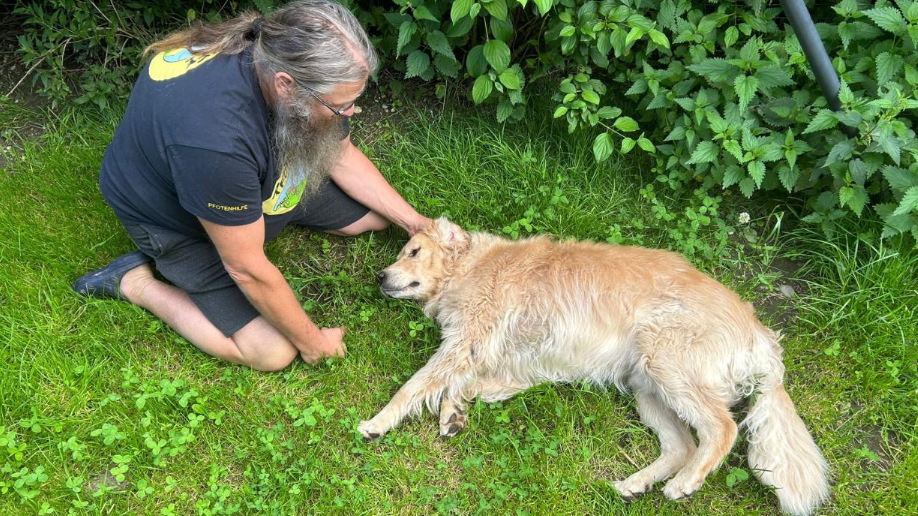 Der Goldie "Gnocchi" sieht auch am Foto gut genährt aus.
