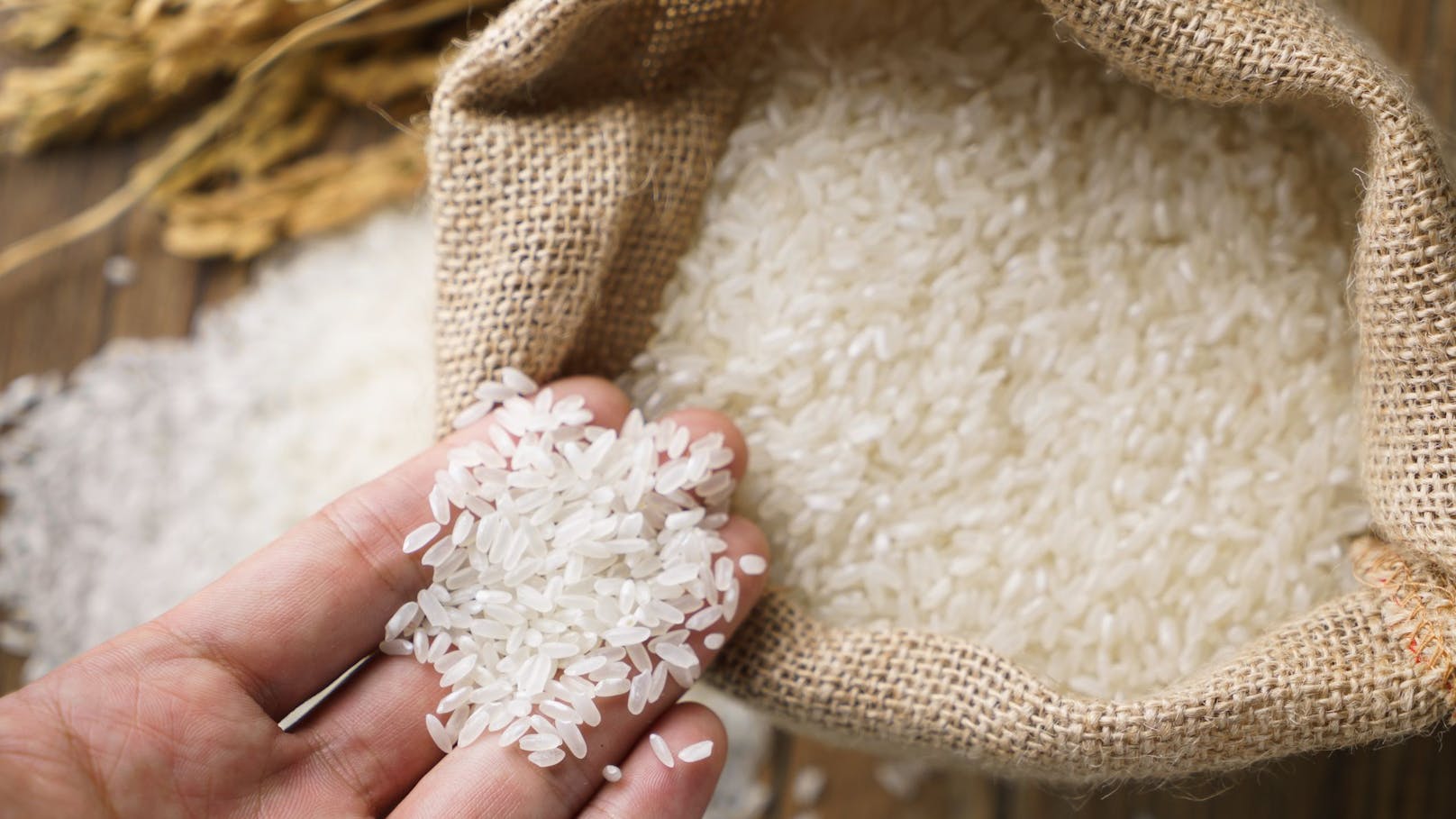 Fünffacher Preis – so teuer und gut ist unser Reis