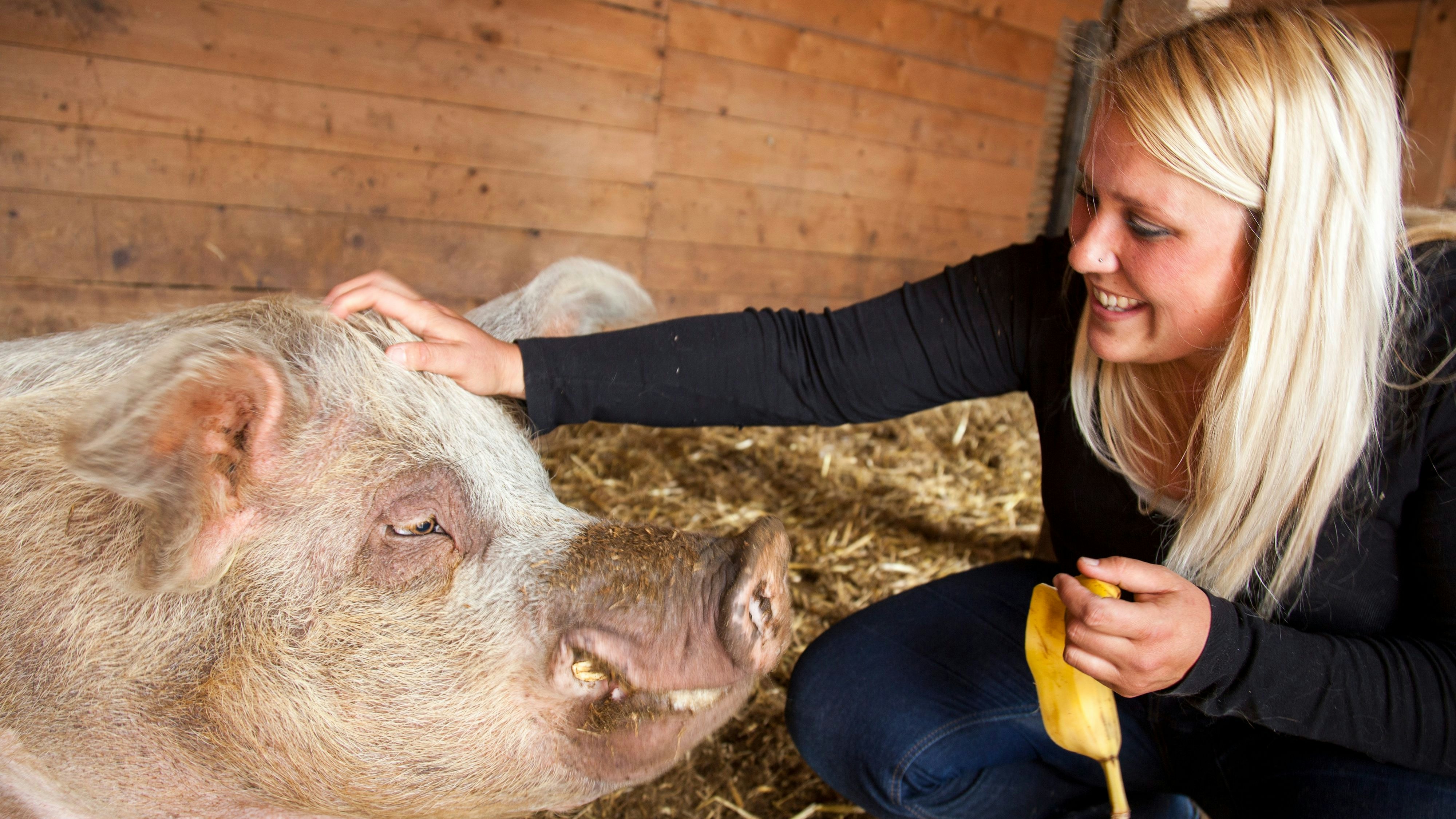 Tierexpertin Johanna Stadler, Obfrau der Tierschutzorganisation Pfotenhilfe