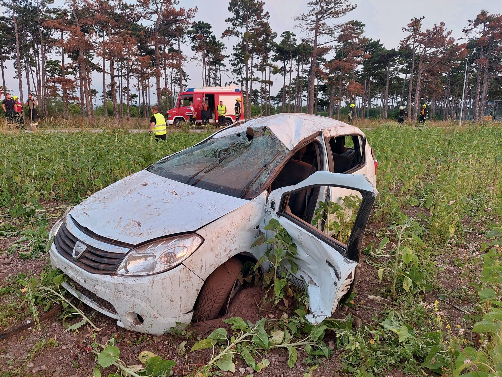 Der Wagen wurde komplett demoliert.