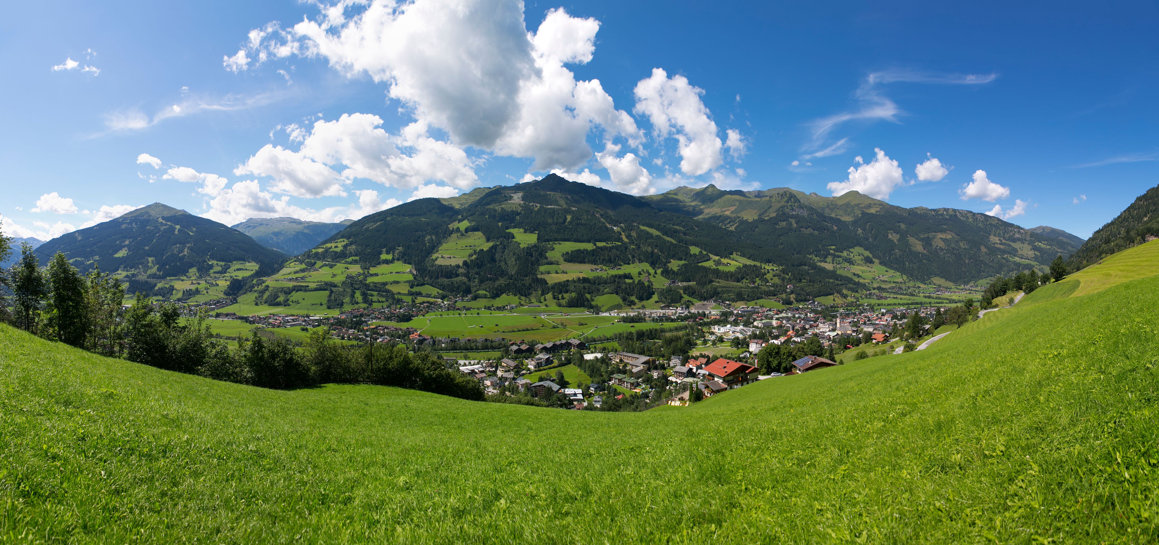 Im idyllischen Gasteiner Tal ereignete sich die tödliche Kuh-Attacke.