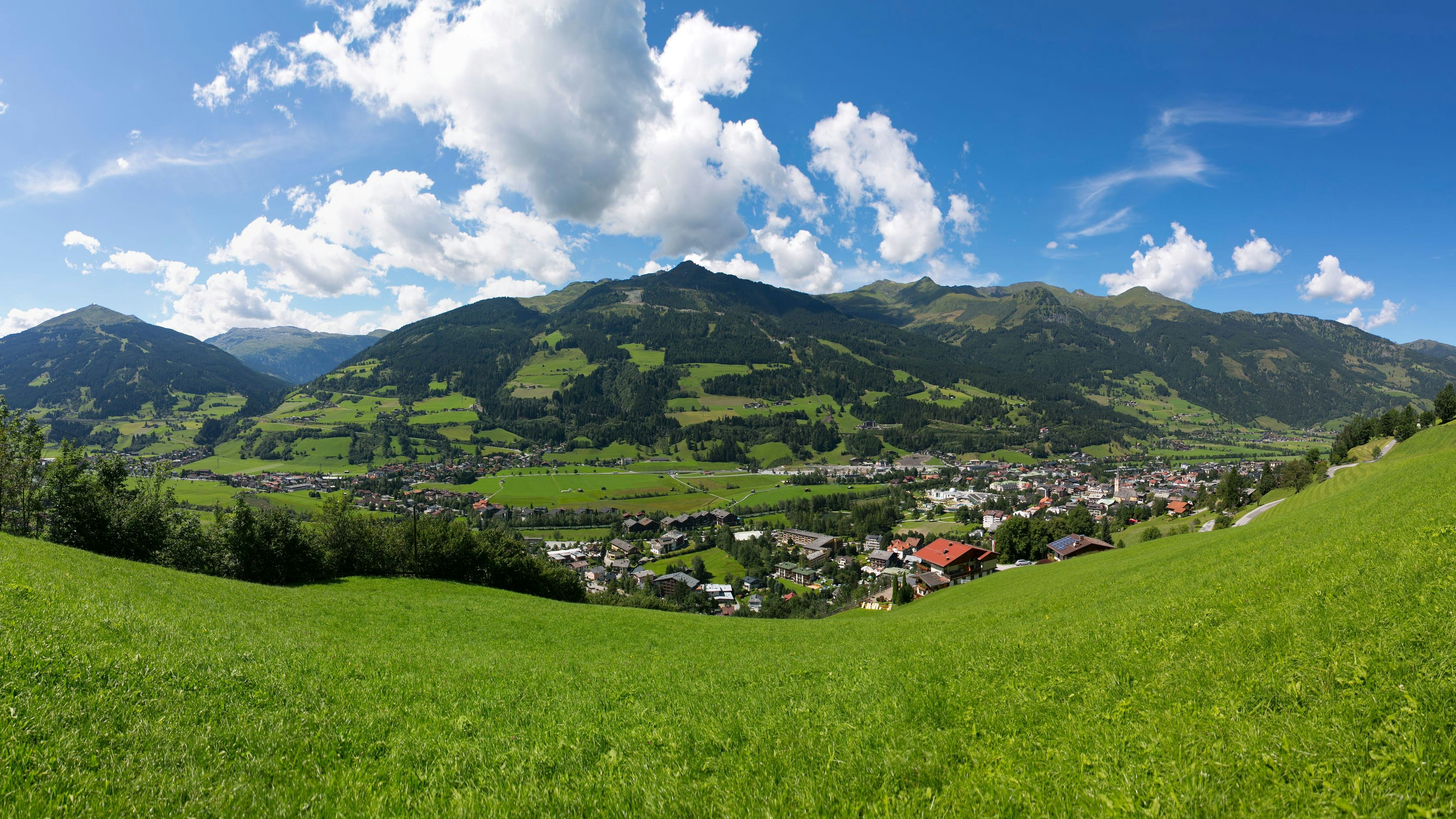 Im idyllischen Gasteiner Tal ereignete sich die tödliche Kuh-Attacke.