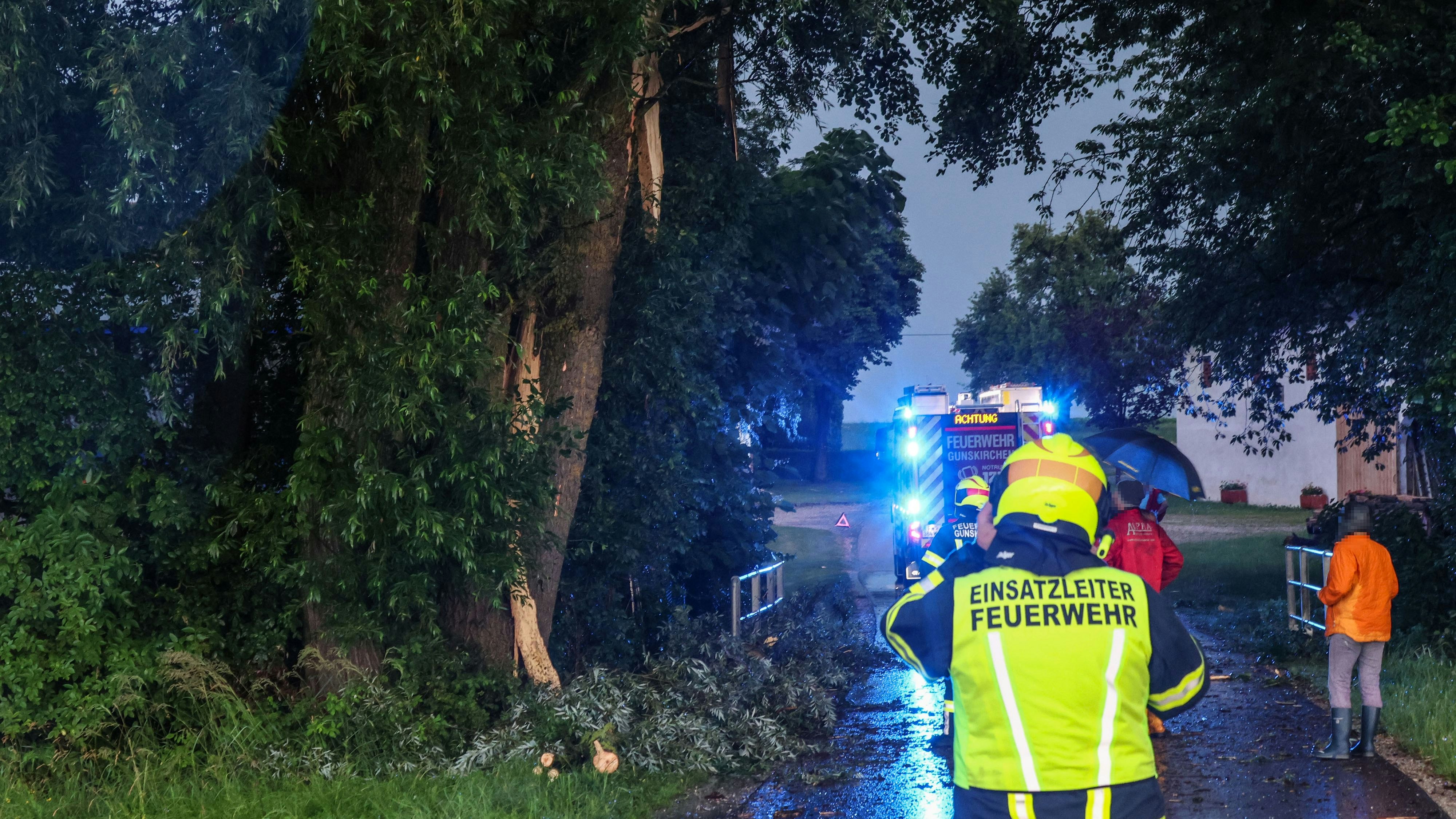 Heute.at - Heftige Gewitter! Gewaltiger Blitz spaltet Baum
