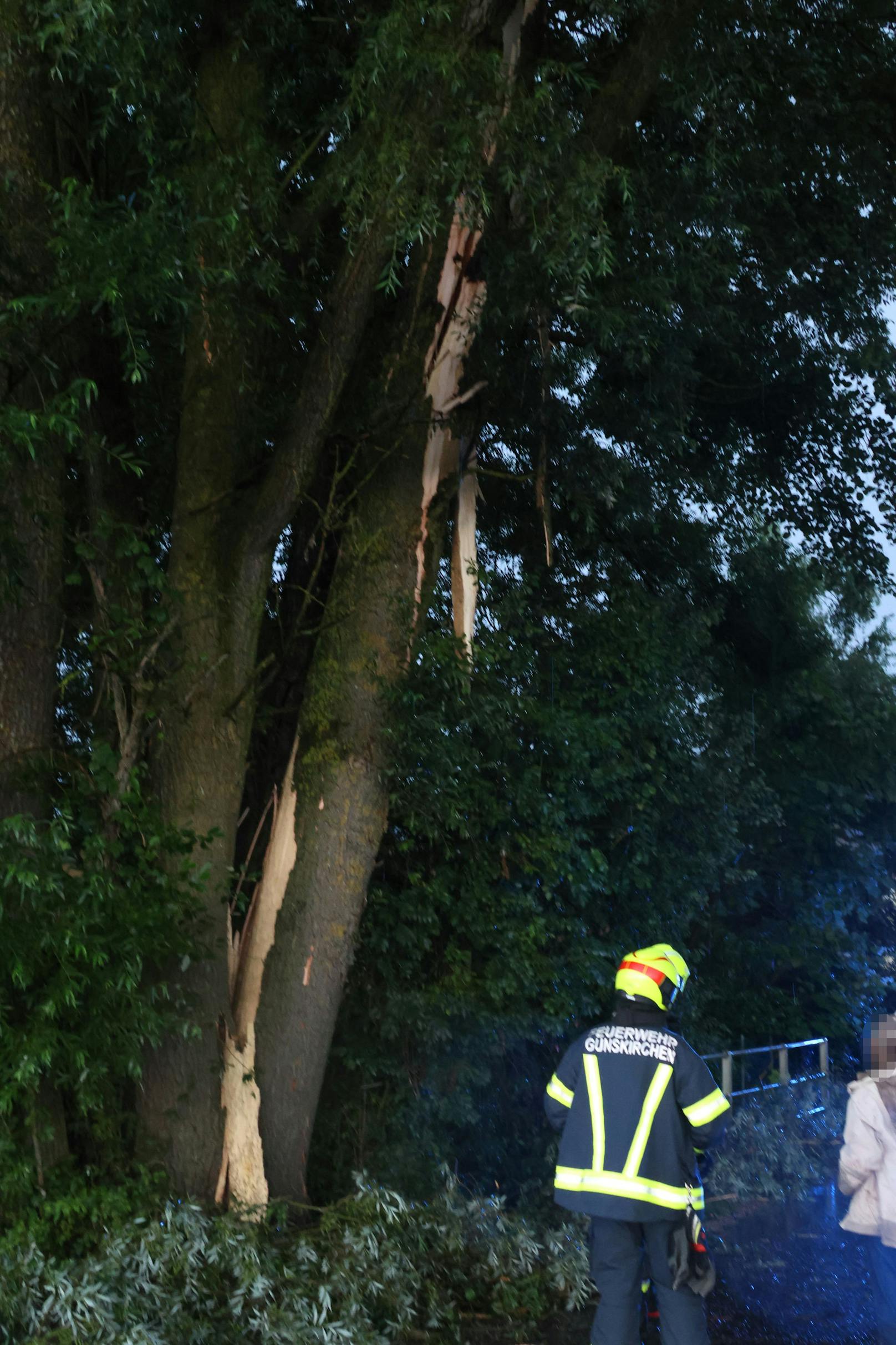 Ein gewittriger Donnerstagabend hat in Oberösterreich für einige Einsätze der Feuerwehren gesorgt. In Gunskirchen (Bezirk Wels-Land) hat ein Blitzeinschlag einen massiven Baum schwer beschädigt.