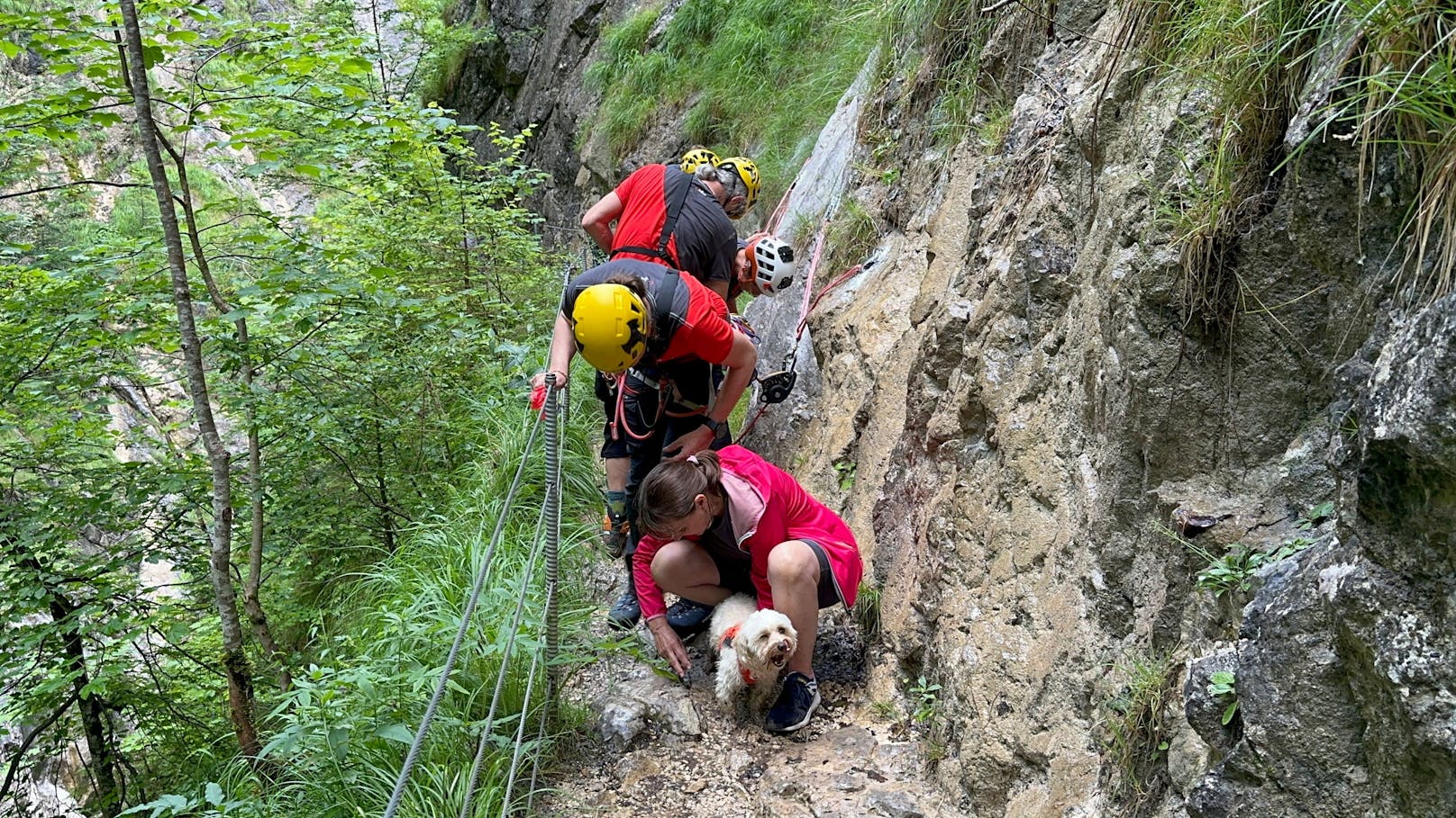 Am Freitag (28.06.2024) konnte die Bergrettung Kramsach einen abgestürzten Hund unverletzt aus der Kaiserklamm bergen.
