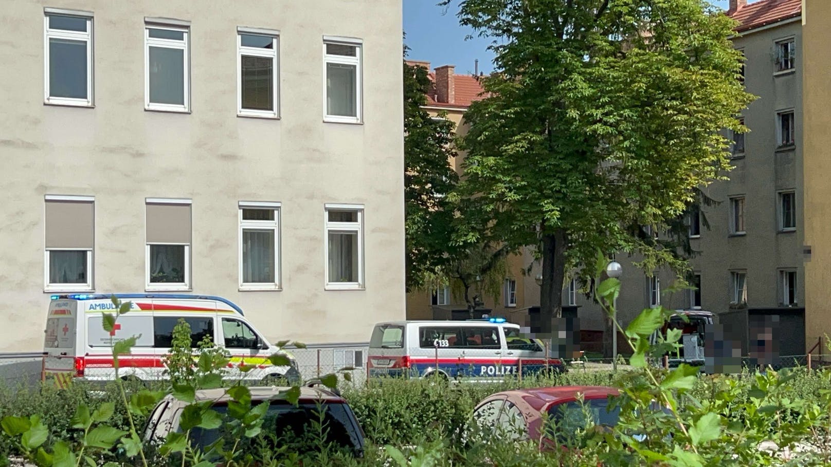Die Ermittlungen zu den näheren Umständen werden durch die Polizeiinspektion Schwechat - Wiener-Straße fortgesetzt.