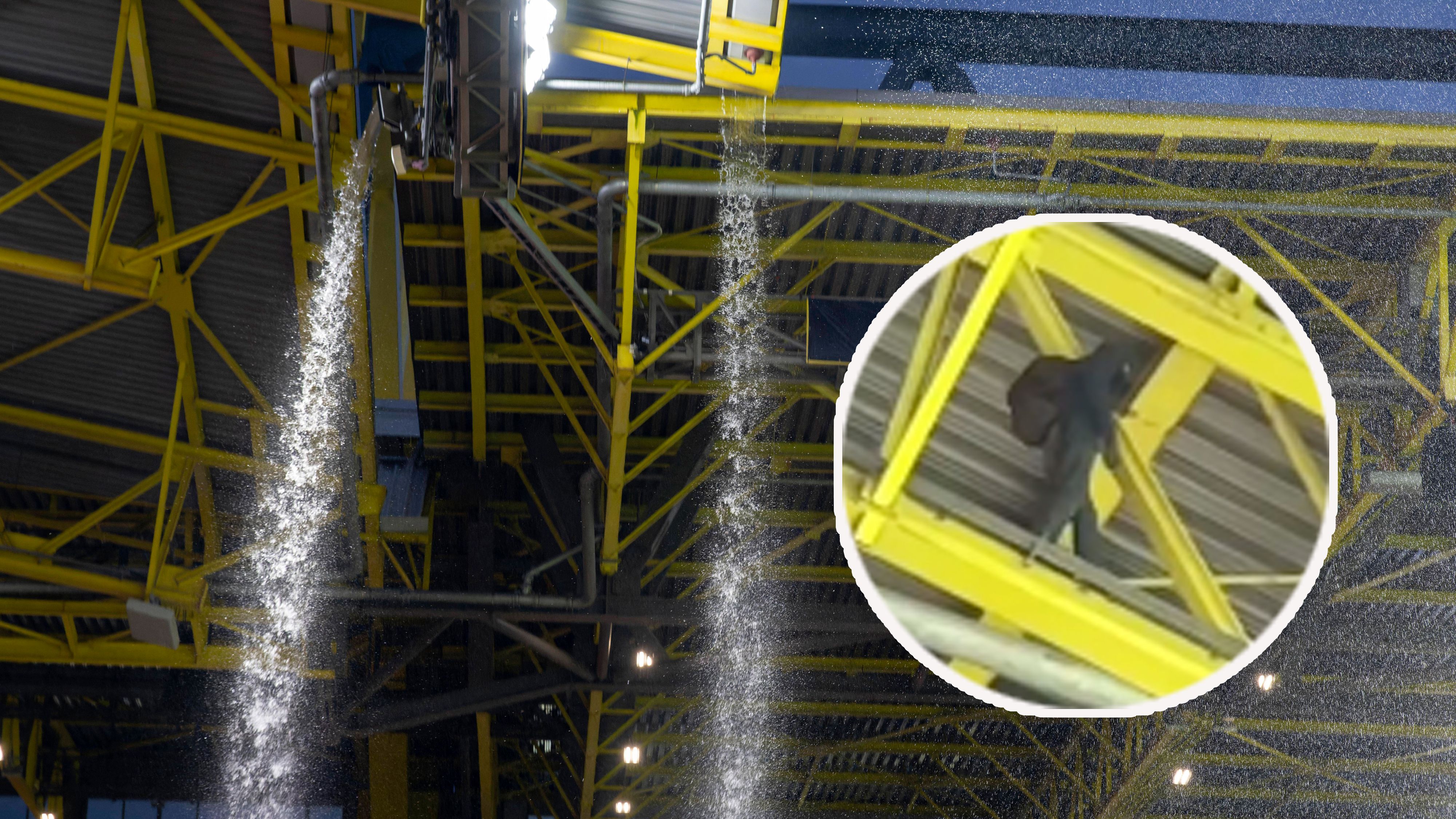 Ein maskierter Kletterer sorgte für einen Einsatz der Spezialeinheit SEK.