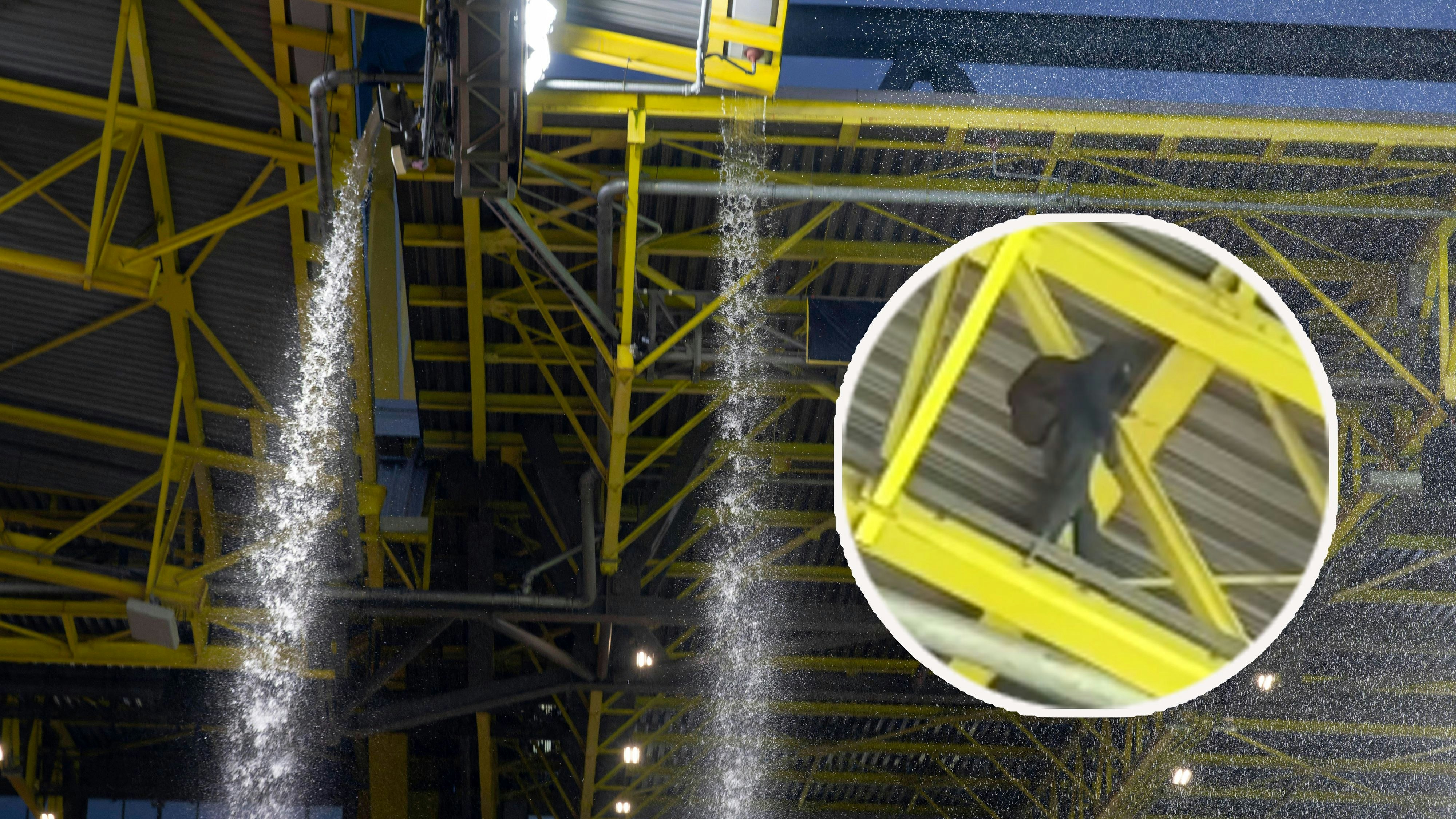 Ein maskierter Kletterer sorgte für einen Einsatz der Spezialeinheit SEK.