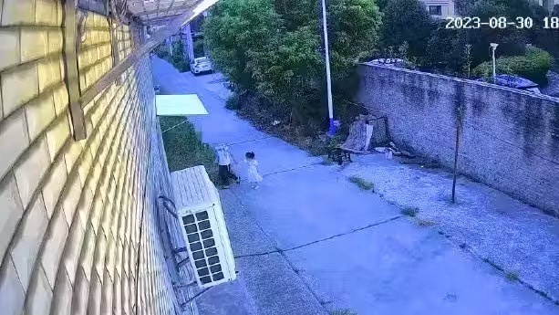 Kameras zeigen, wie ein zwölfjähriger Bub sein Opfer (4) wegführt, bevor er es ermordete.