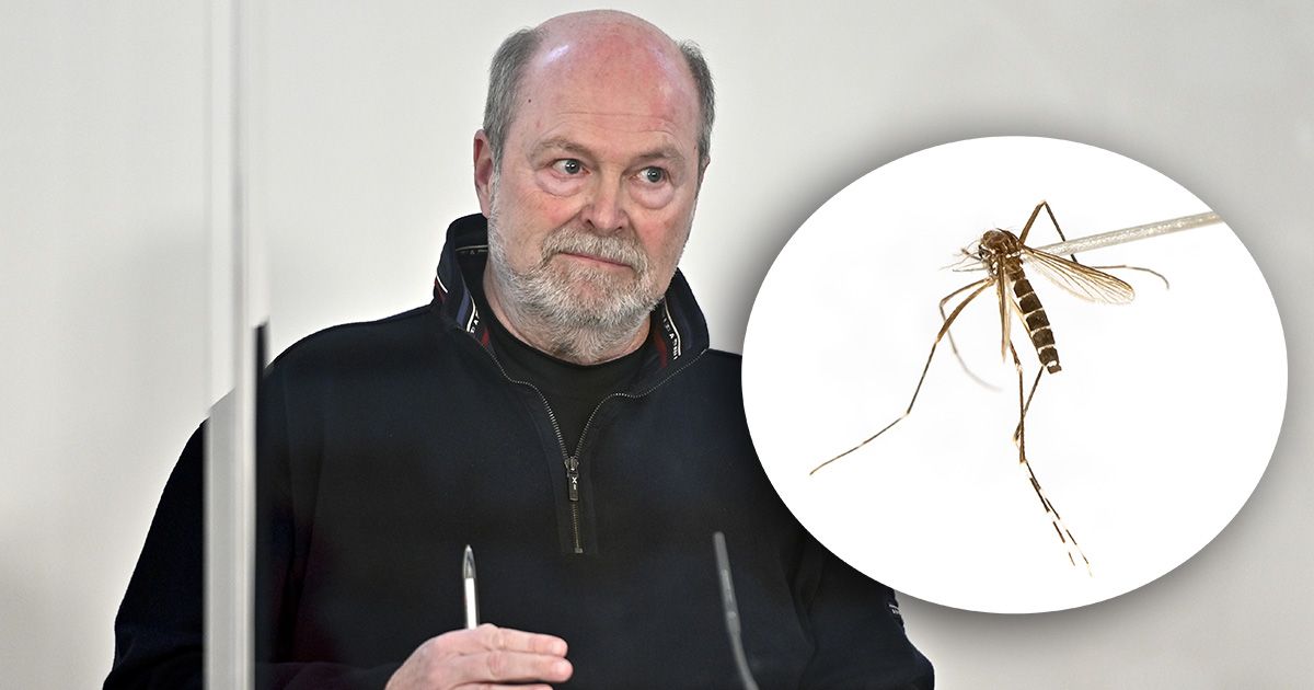 Tropenmediziner und Impf-Experte Herwig Kollaritsch über die größten Bedenken und für wen der neue Impfstoff verfügbar sein wird.