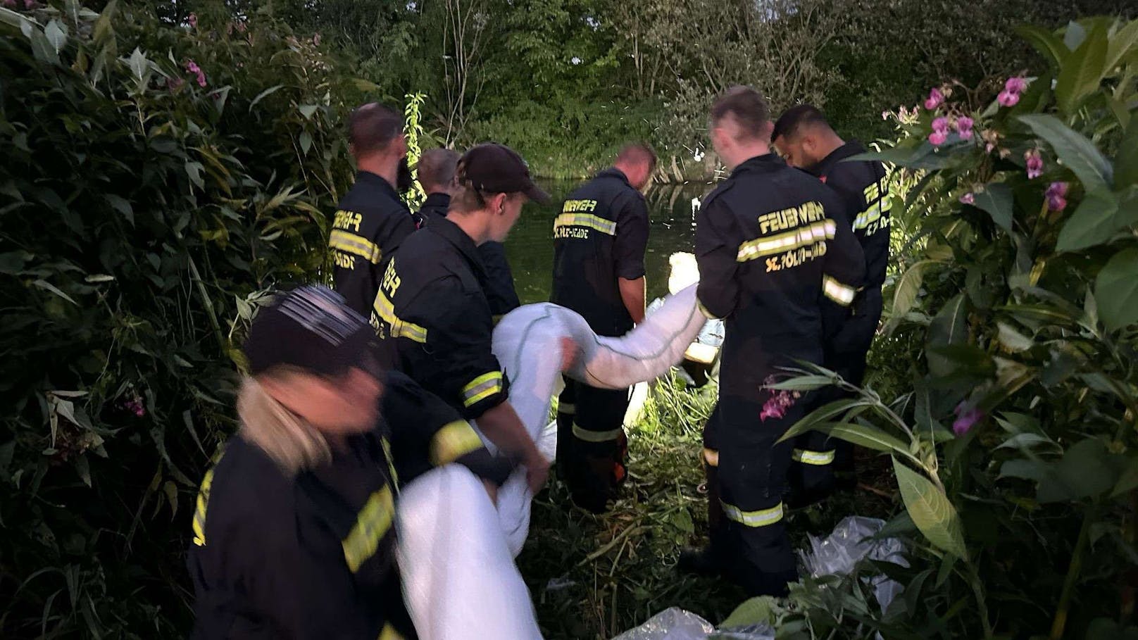 Die Feuerwehr St. Pölten errichtete Ölsperren und fand einen Ölkübel im Gebüsch.