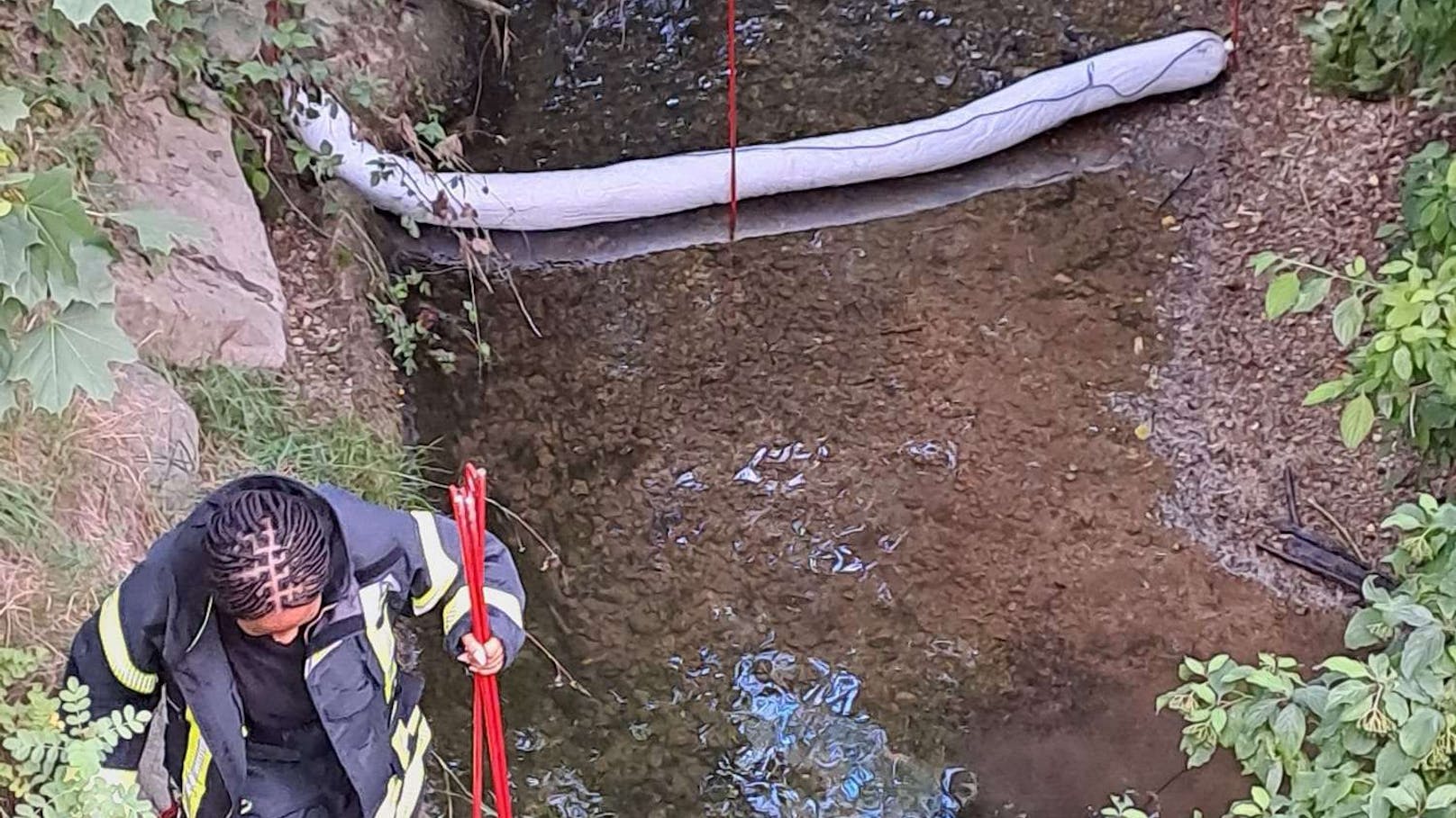 Die Feuerwehr St. Pölten errichtete Ölsperren und fand einen Ölkübel im Gebüsch.