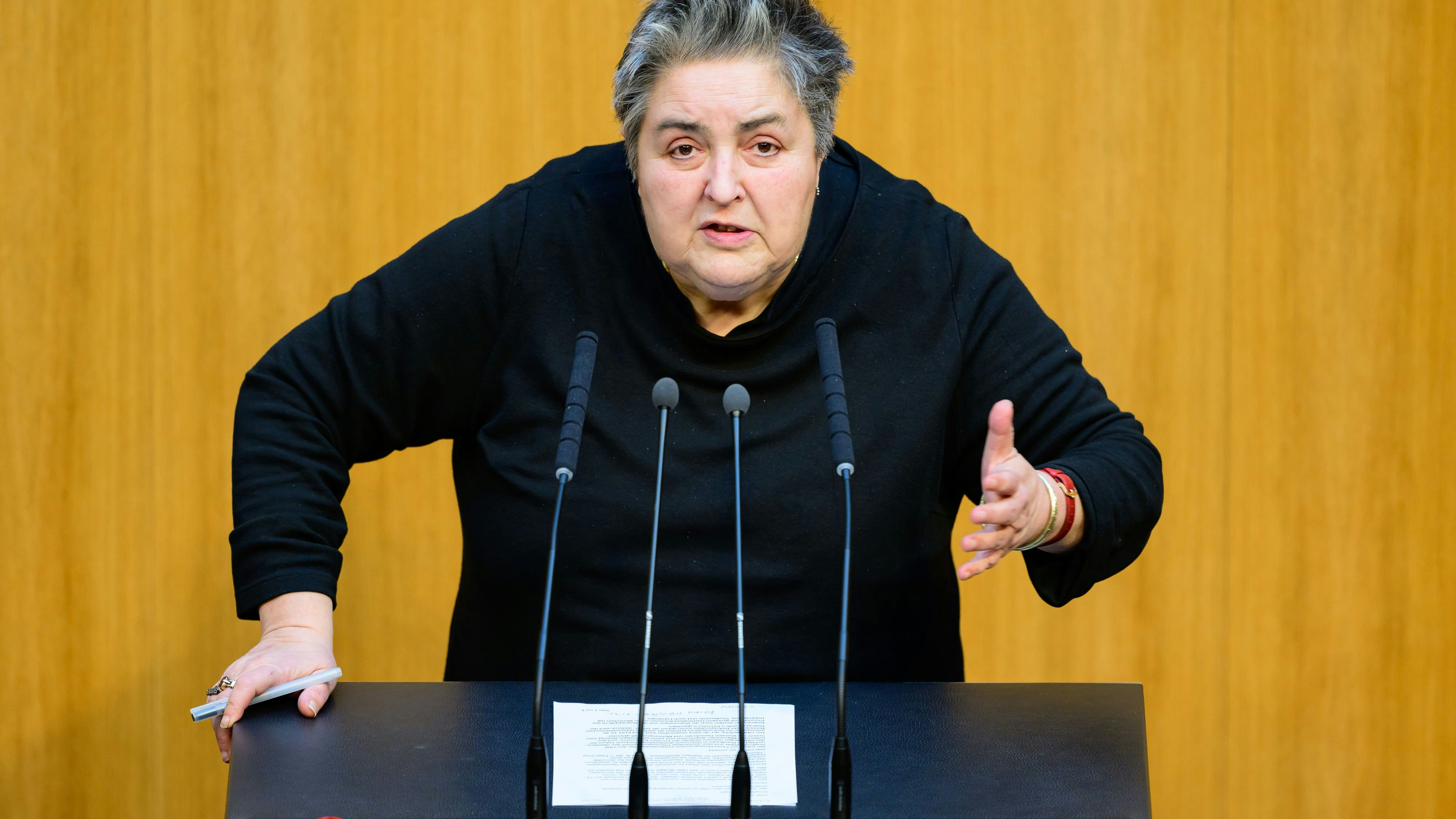 "Gulasch statt Aktien" scheint das Motto für Grün-Politikerin Eva Blimlinger zu lauten, wenn es um Bildungsinhalte an Schulen geht. 