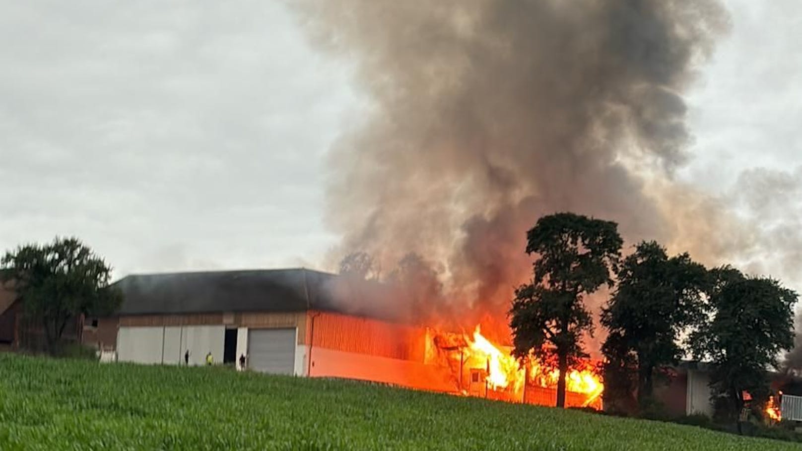 160 Feuerwehrleute kämpften gegen die Flammen.