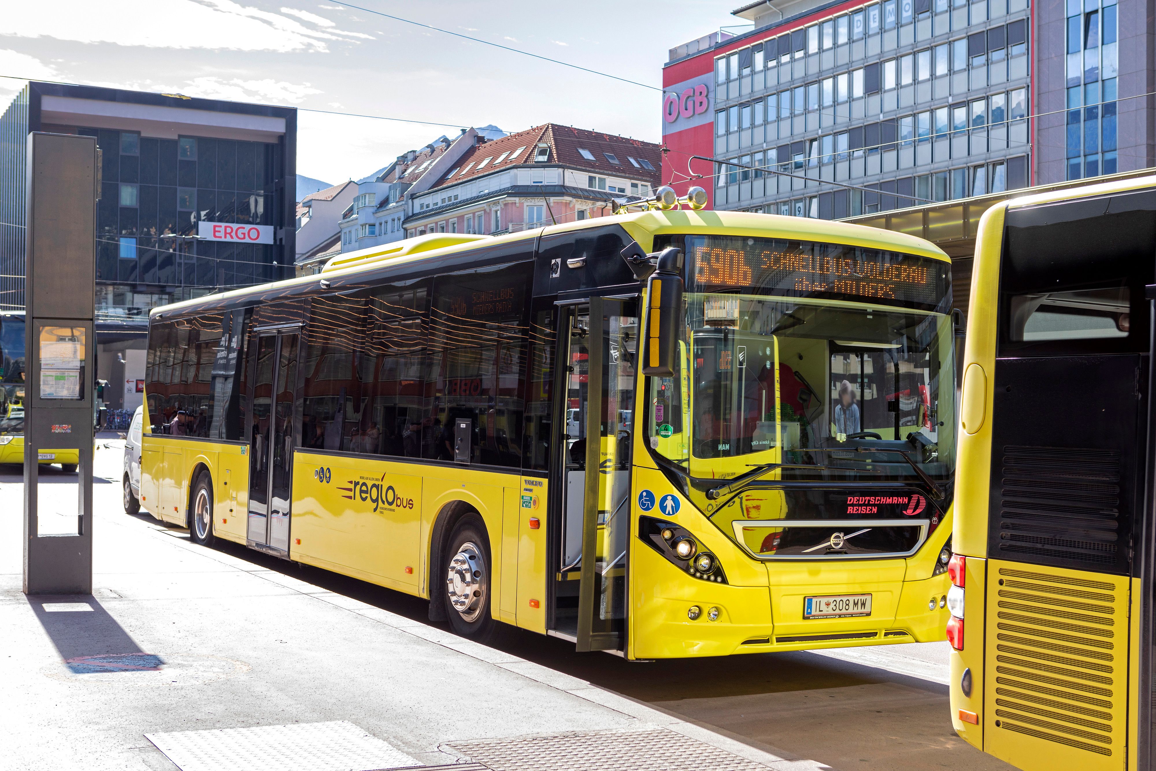 Postbusse in Tirol, Kärnten, Nieder- und Oberösterreich helfen beim Sammeln von Daten über Insekten-Vielfalt.