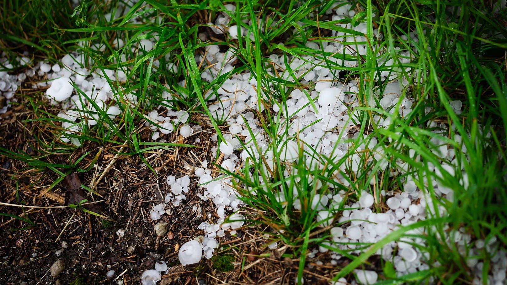 Hagel im Innviertel.