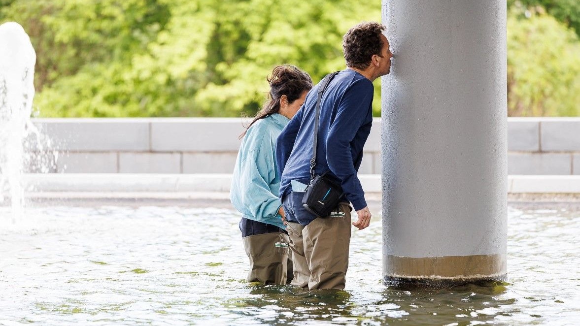 Ein extravagantes Kunstprojekt regt dieser Tage in St. Pölten auf.