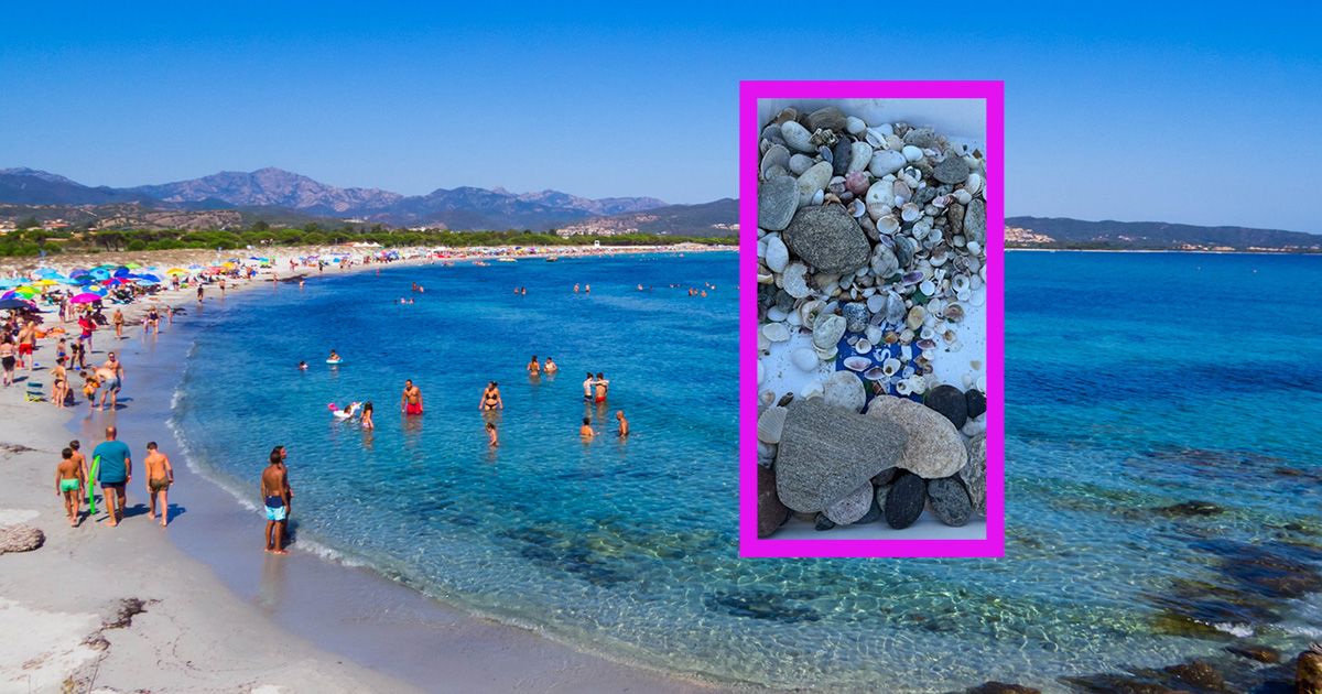 Die Touristen hatten Steine und Muscheln im Kofferraum.