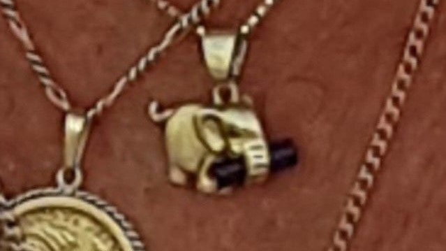 Dieser zirka zwei Zentimeter große Elefanten-Anhänger ist seit einem Jahr verschollen.