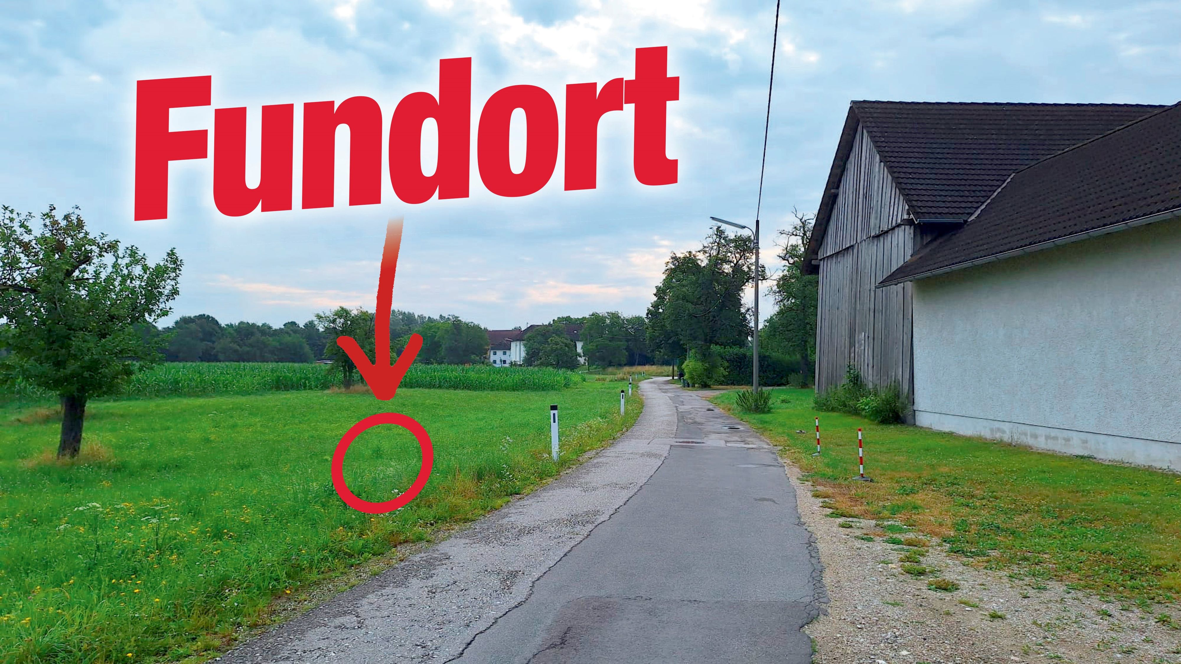 An dieser Stelle im Linzer Stadtteil Pichling fanden die Experten des Landes OÖ nun eine Spur.