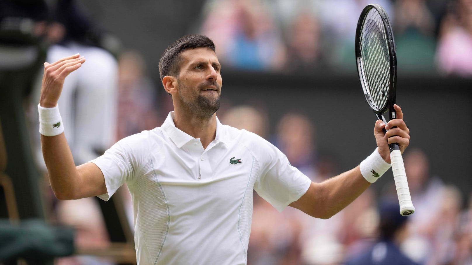 Wimbledon-Hammer! Djokovic folgt Alcaraz ins Finale