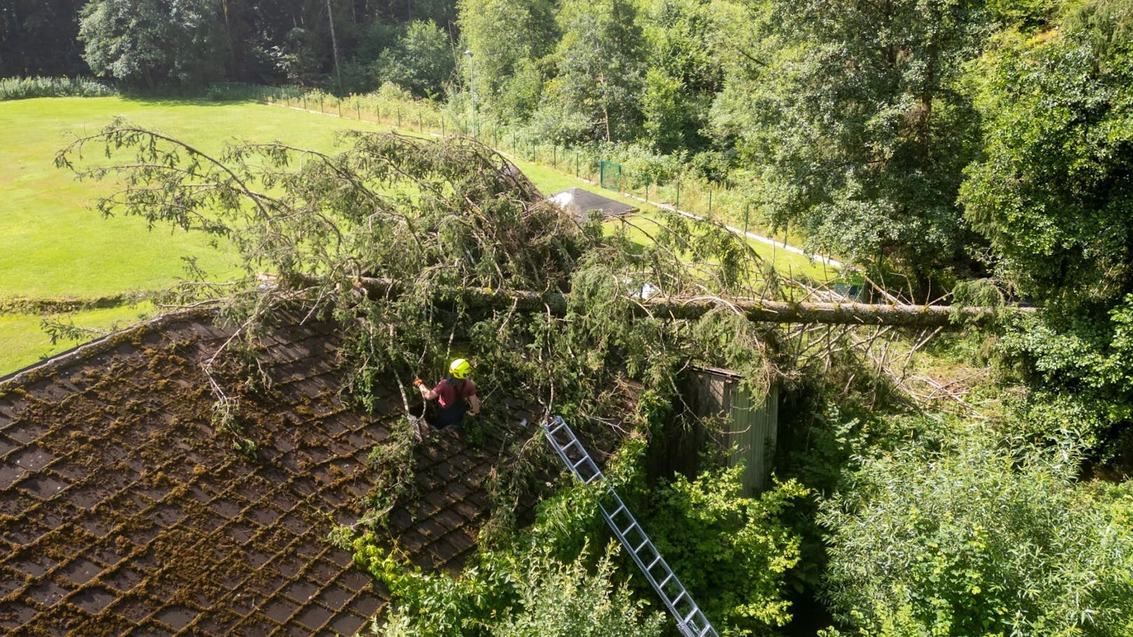 Gegen die heftigen Sturmböen hatte sogar der massive Baum keine Chance.