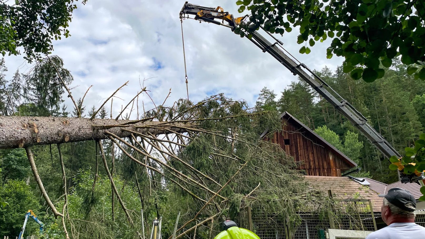 Schock nach Unwetter – 40-Meter-Baum fällt auf Dach