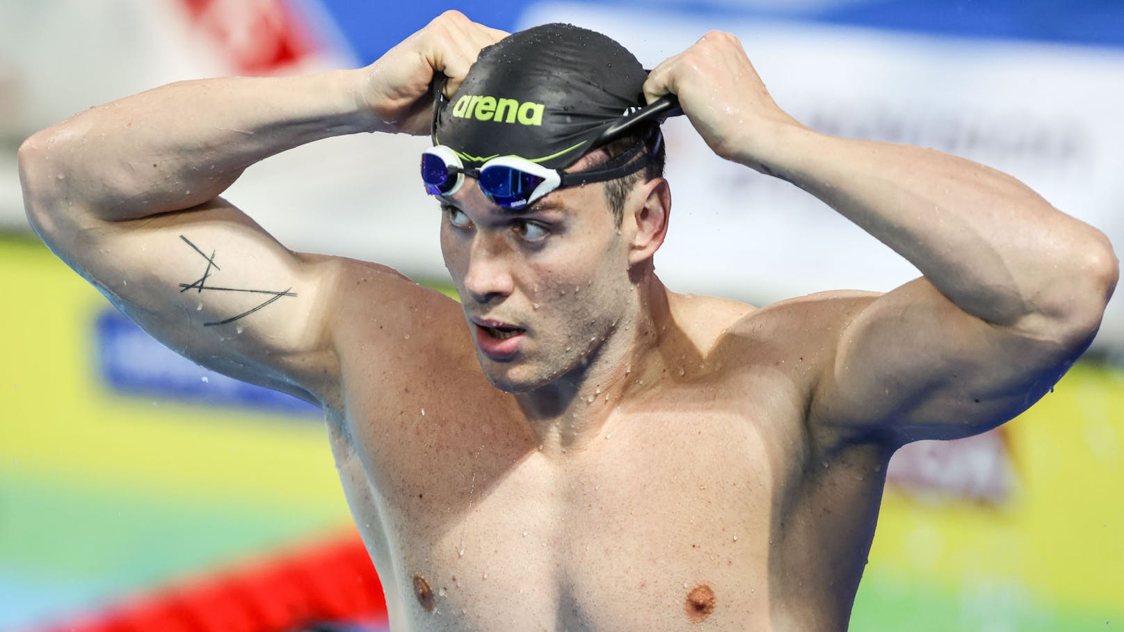 Bernhard Reitshammer (Schwimmen/100 m Brust, 100 m Rücken, 4 x 100 m Lagen)