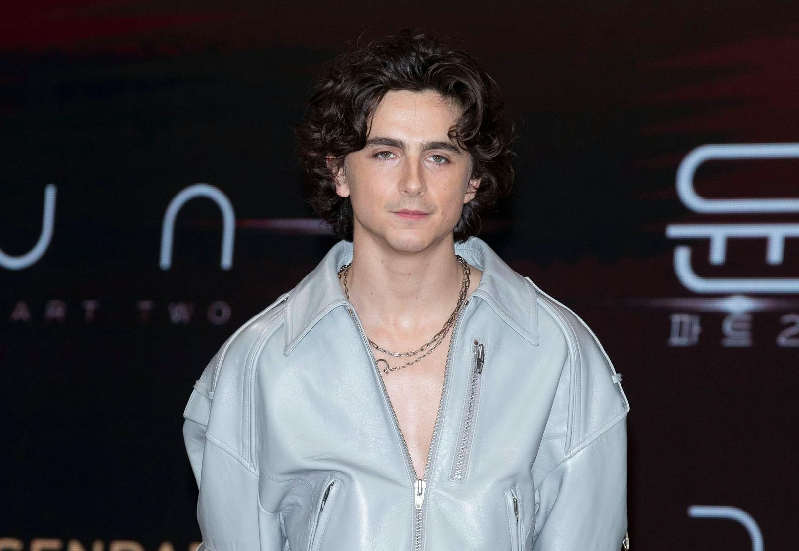 Timothée Chalamet für "A Complete Unknown"