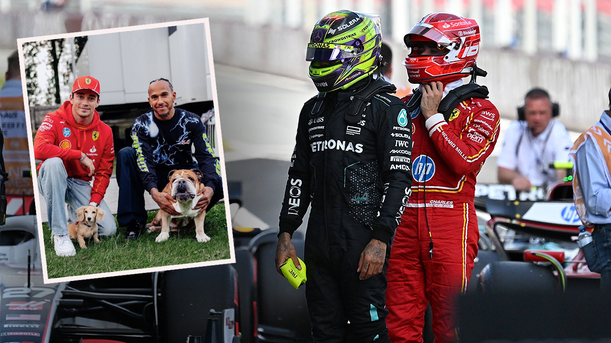 Die Hunde von Lewis Hamilton und Charles Leclerc spielen schon miteinander. 