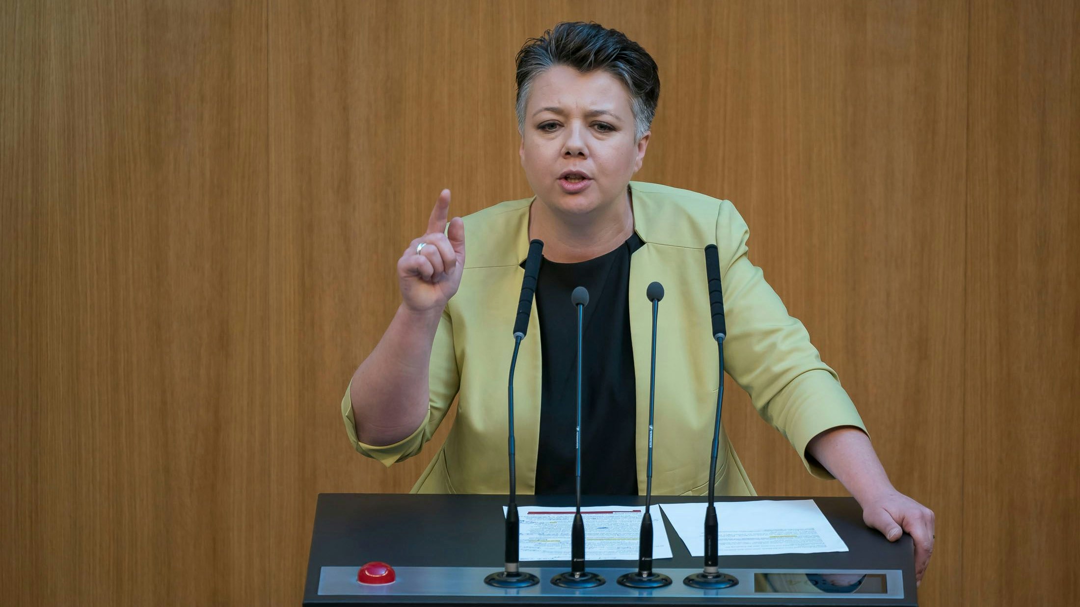 Grünen-Generalsekretärin Olga Voglauer ist erzürnt über den neuesten Schellhorn-Wagen.