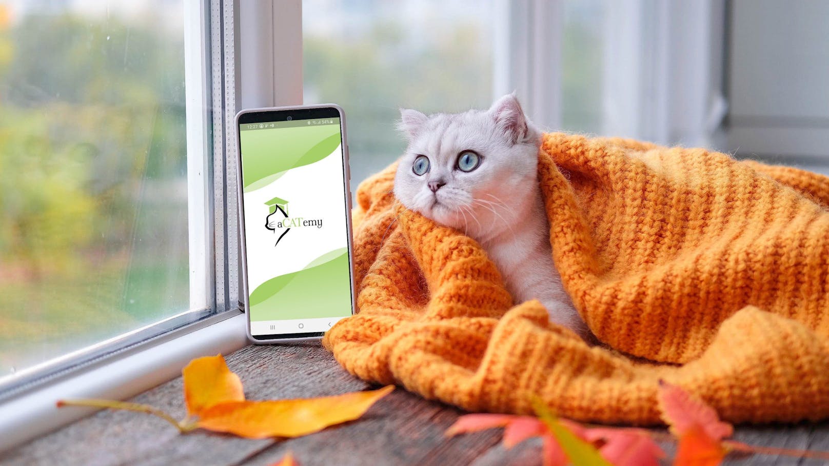 Katzen-App macht lästige Stubentiger streichelweich