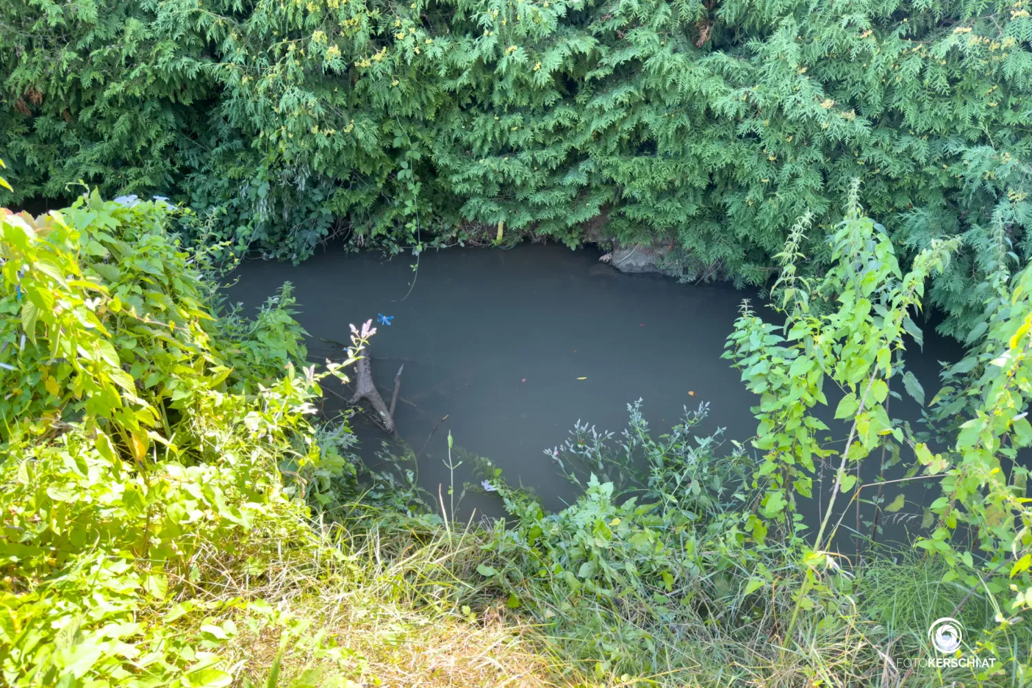 In diesen Bach in Linz stürzte der Pensionist. Eine Fußgängerin und zwei weitere Helfer retteten ihn.