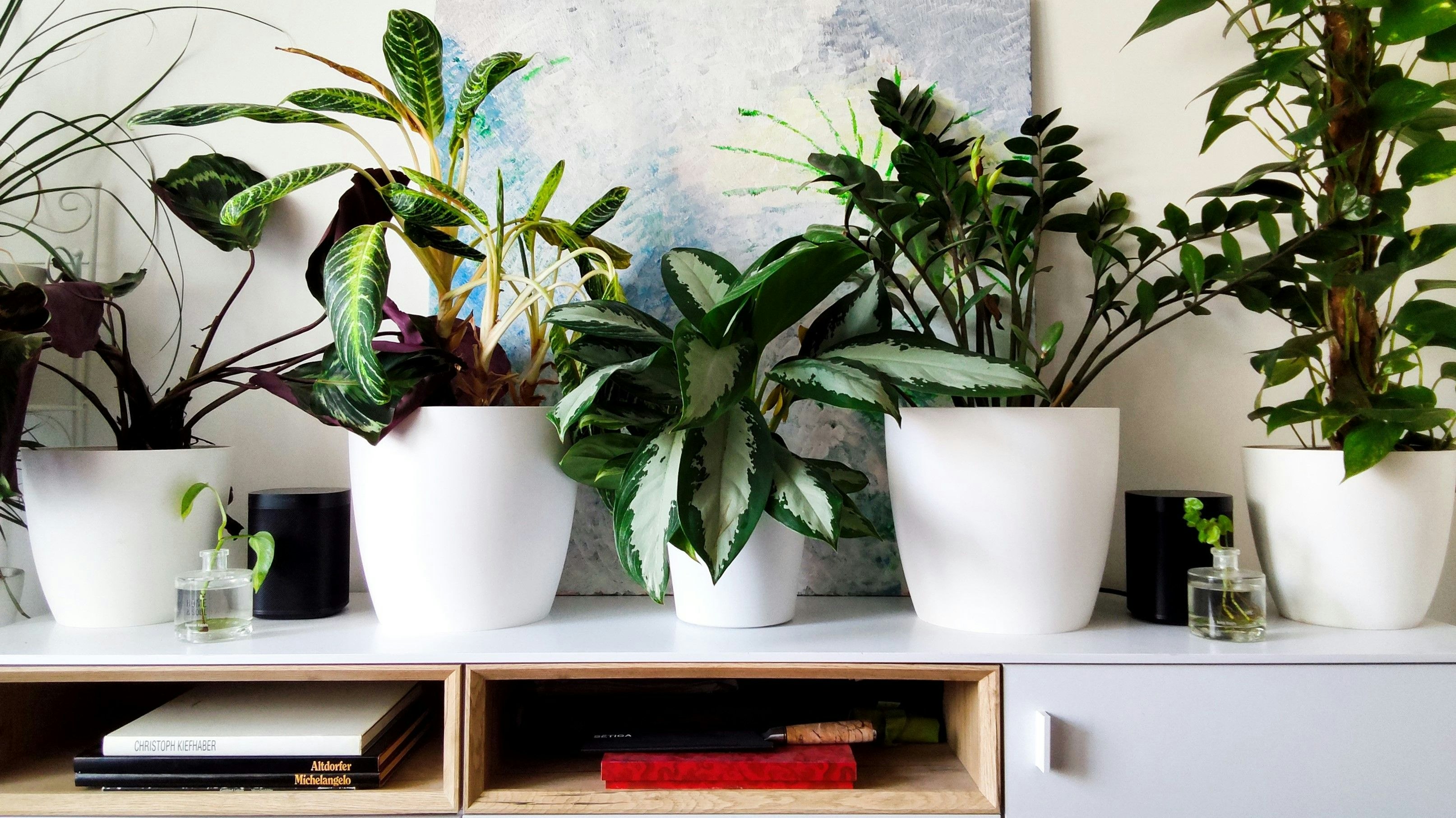 Fotos mit der rückseitigen Kamera fallen bei genug Licht brauchbar aus, mehr darf man sich aber auch nicht erwarten.