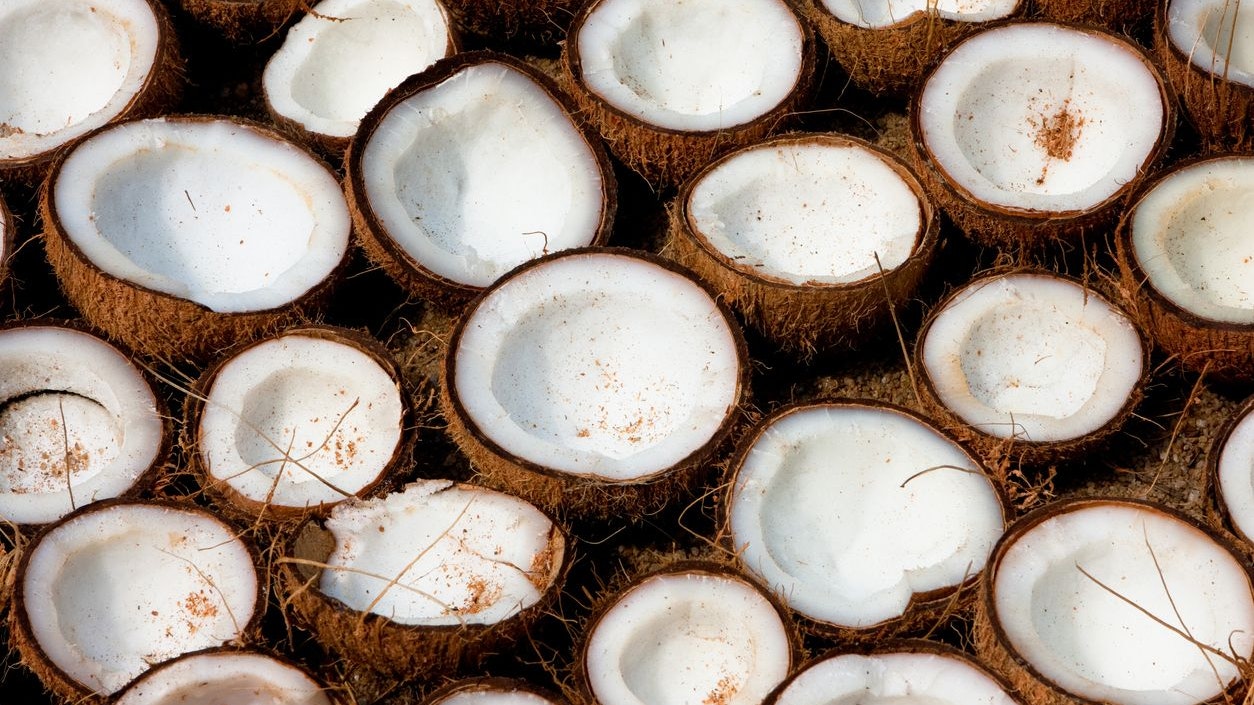 Getrocknetes Kokosnussfleisch enthält viel Öl und ist deshalb leicht entflammbar.