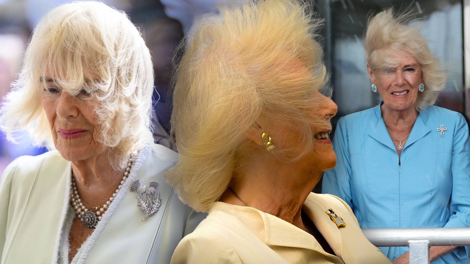 Vom Winde verweht – Camillas königliches Haar-Dilemma