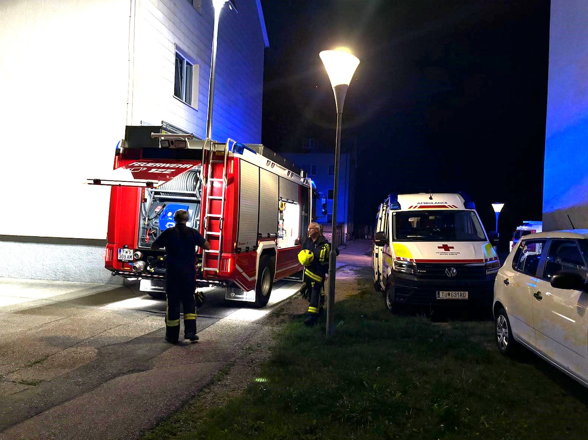 Bewohner und Katzen bei Wohnhausbrand gerettet