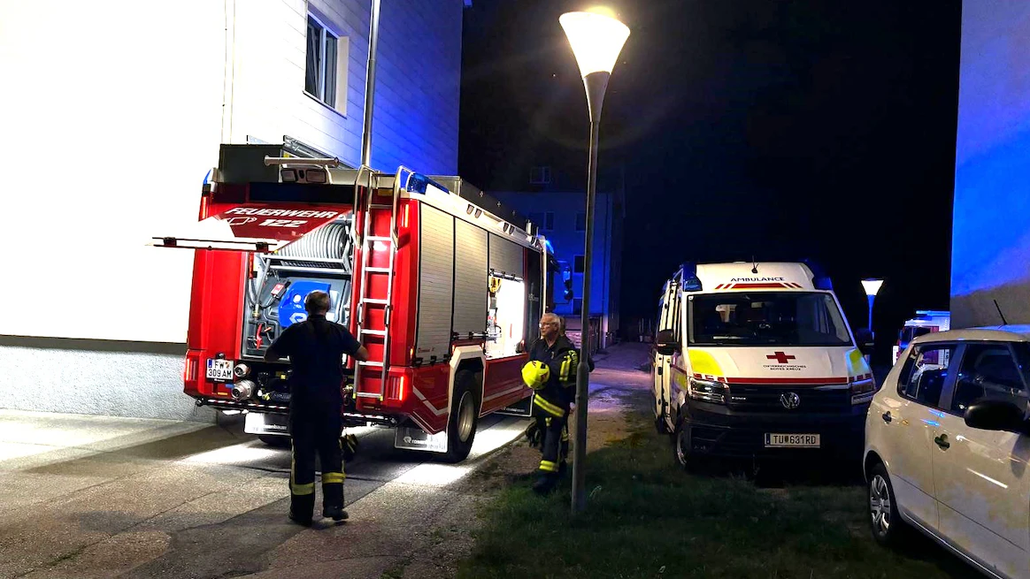 Bewohner und Katzen bei Wohnhausbrand gerettet
