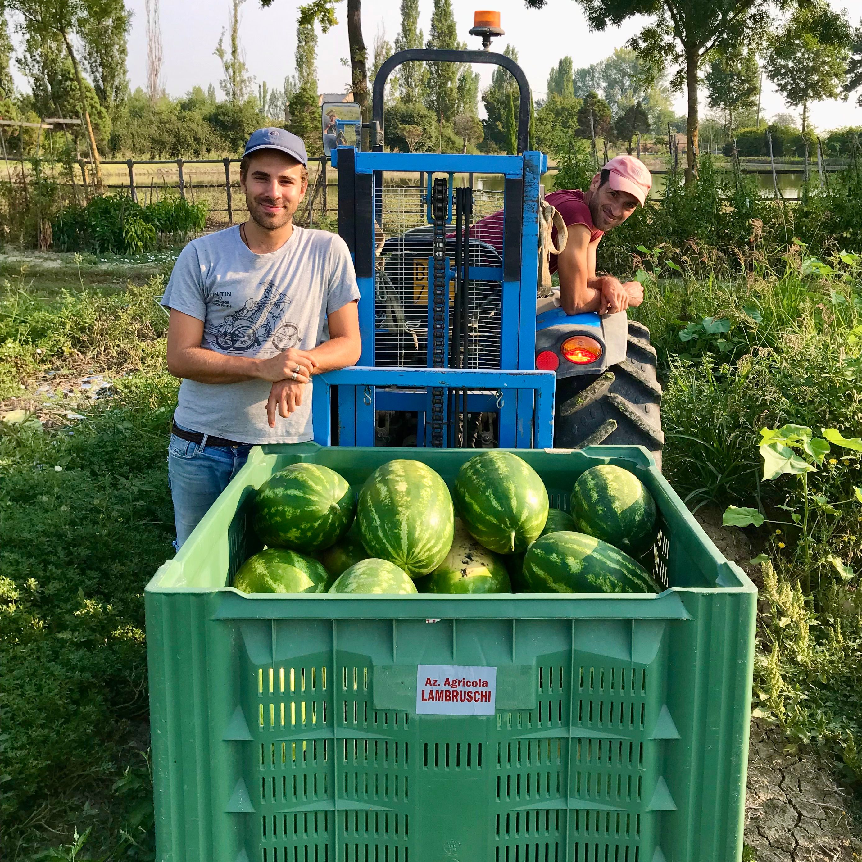 Paul Mitsch (links) verwirklicht in Wien seinen Traum von einer Melonenhalle.