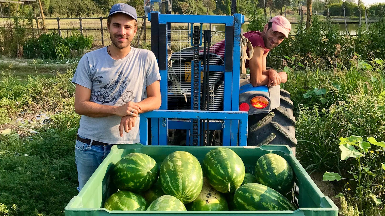 Süße sieben Tonnen! Erste Melonenhalle eröffnet im MQ