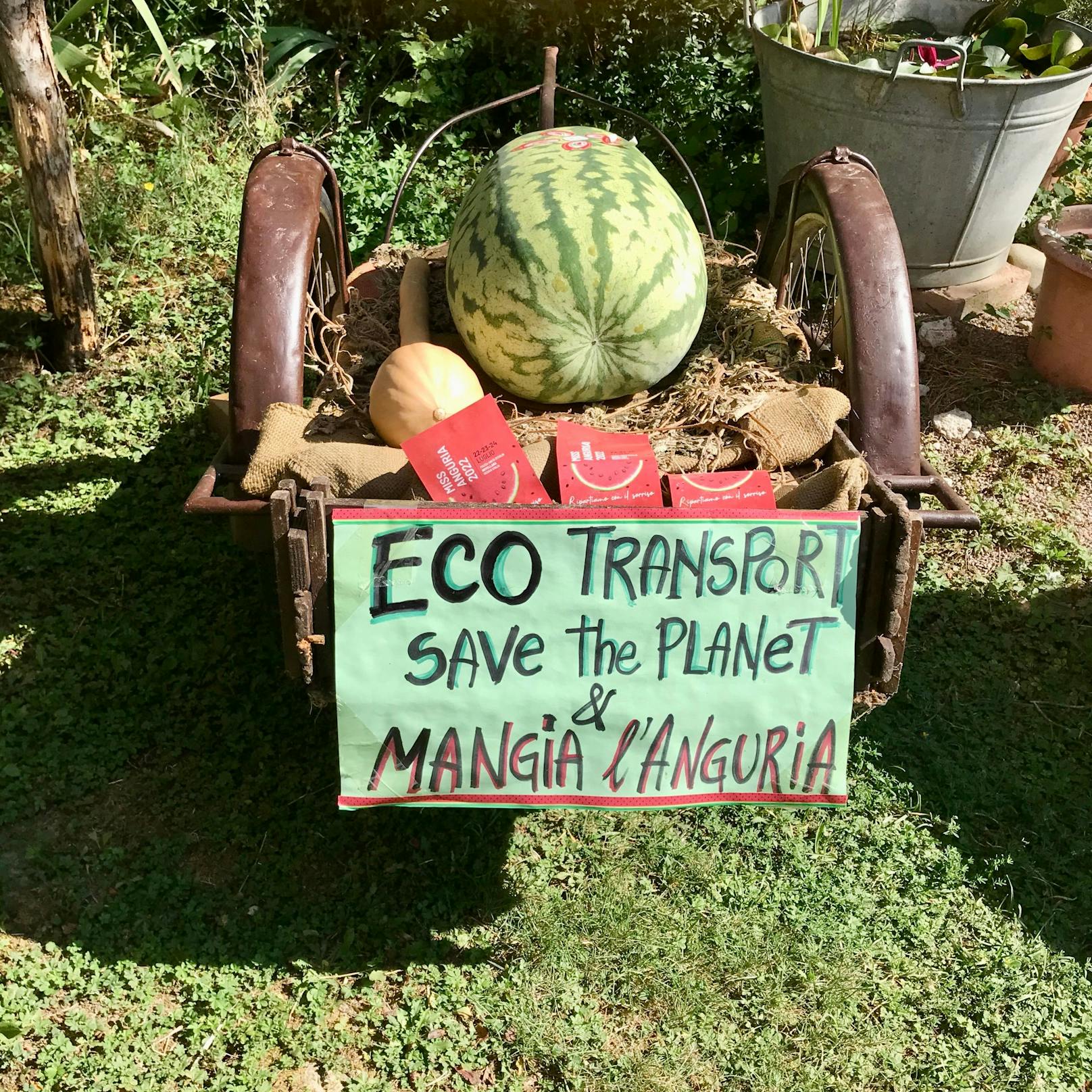 Die Sorte ist die einzige gebietsgeschützte Wassermelone Europas.